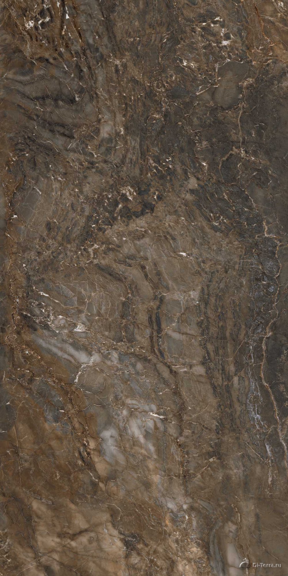 Bernini 120×60 Polished