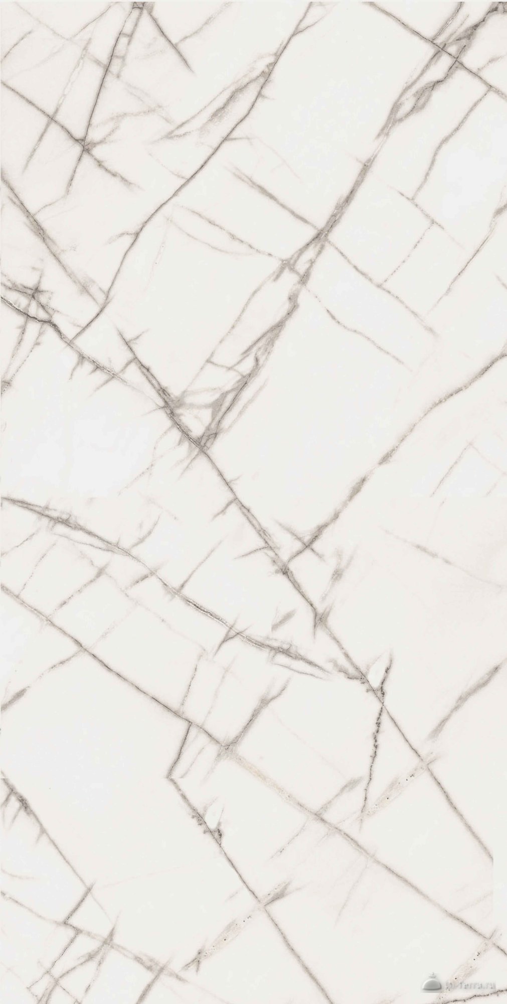 Exotica Marble 60×120 Ret