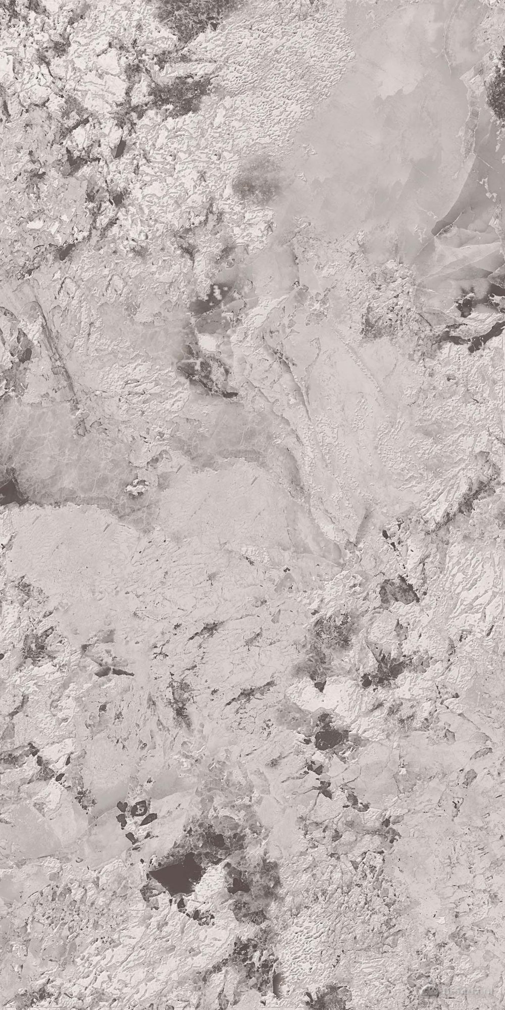 Exotica Marble 60×120 Ret