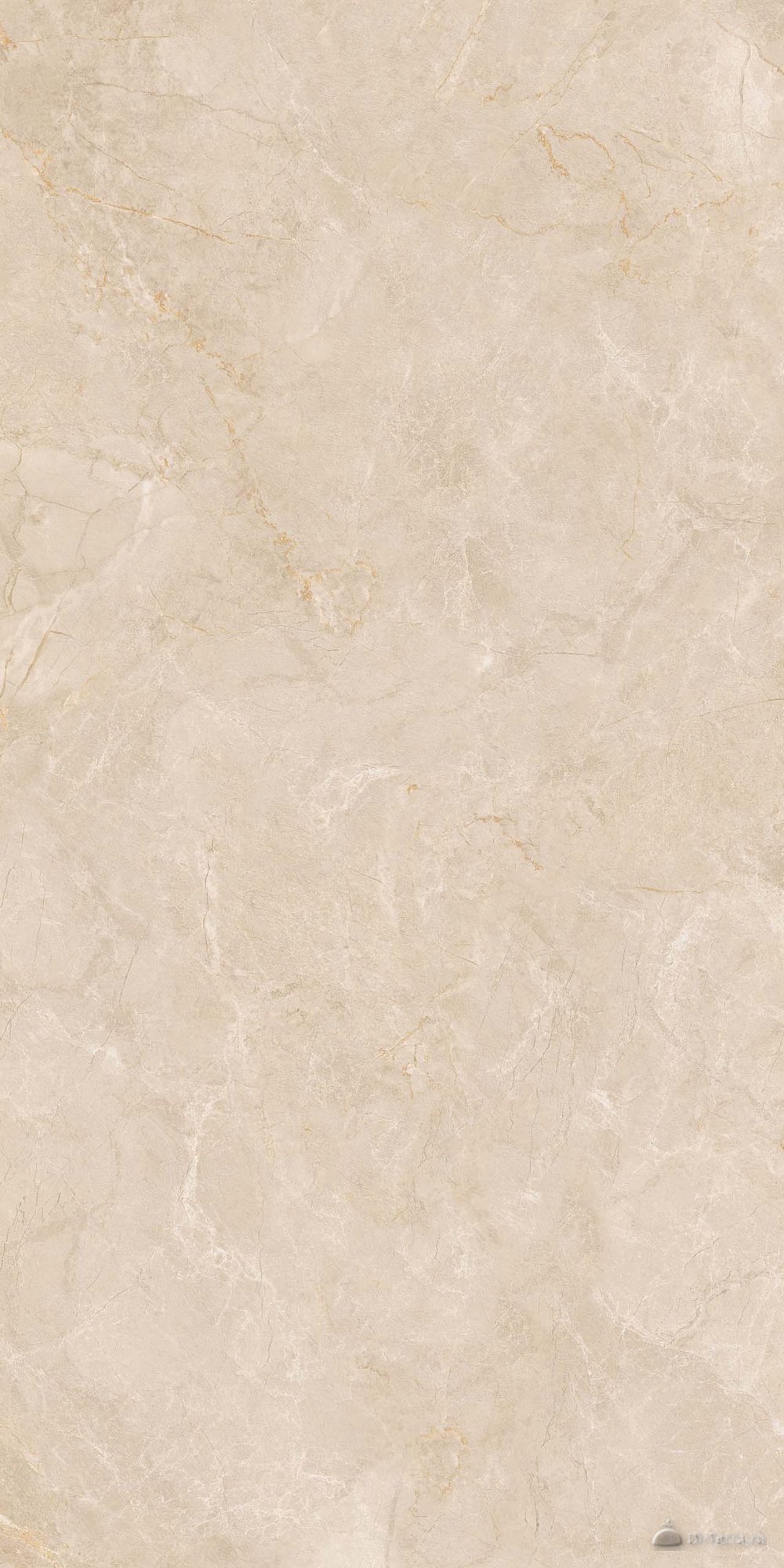 Exotica Marble 60×120 Ret