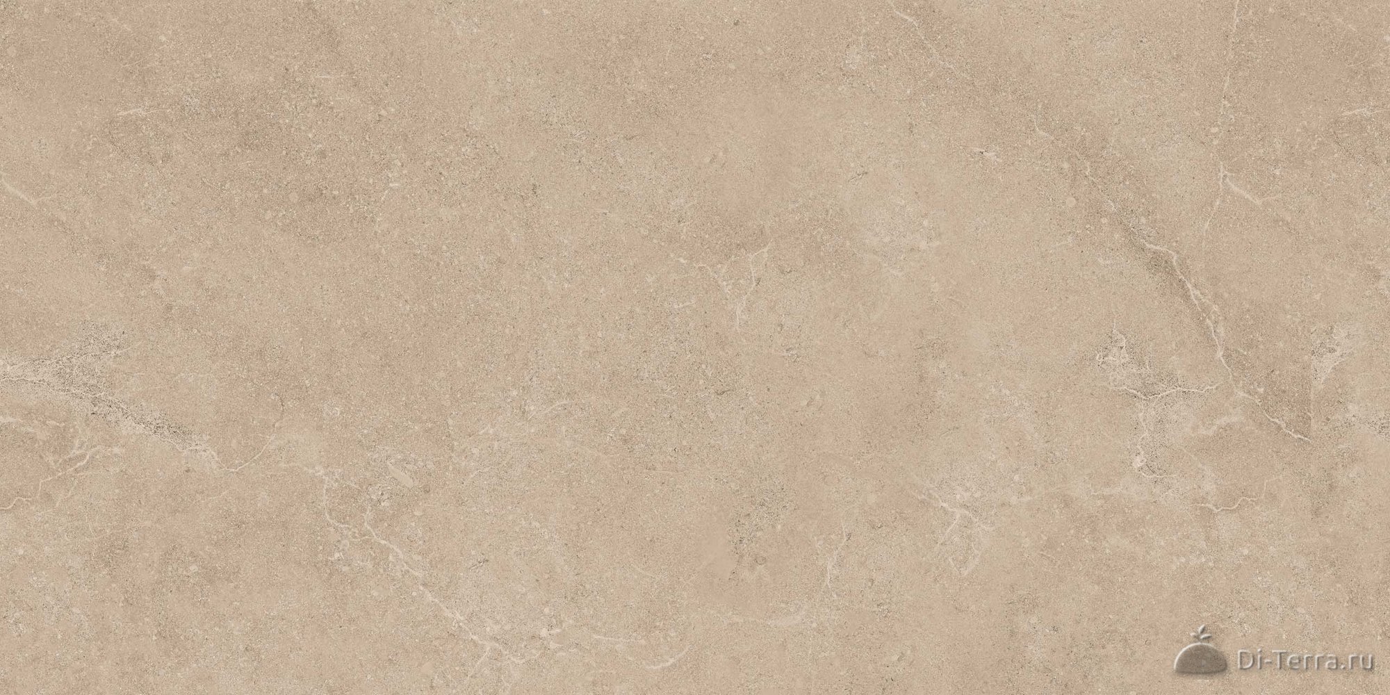 Exotica Stone 60×120 Ret