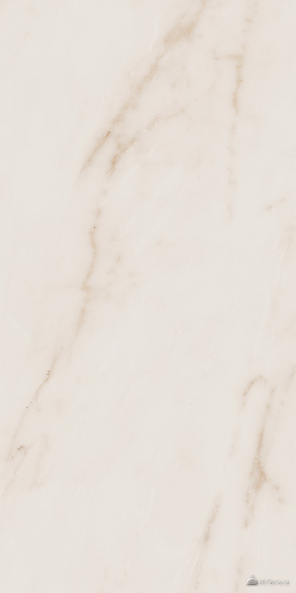 Melody 60×30.6