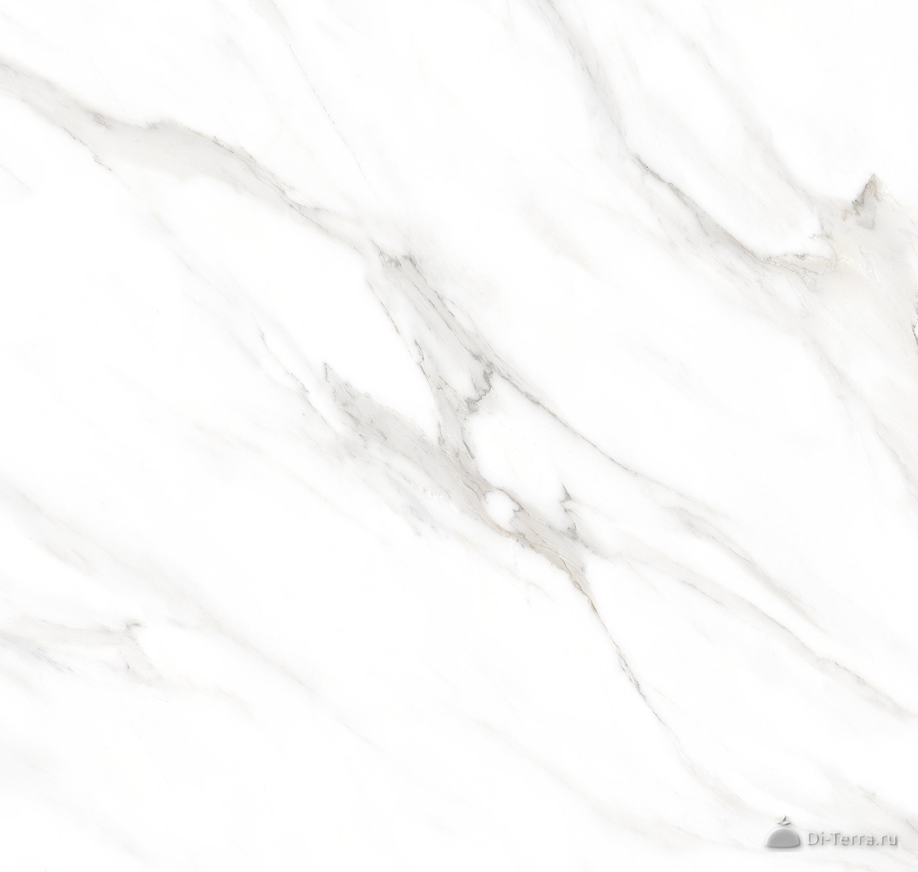 Carrara Pearl 600×1200