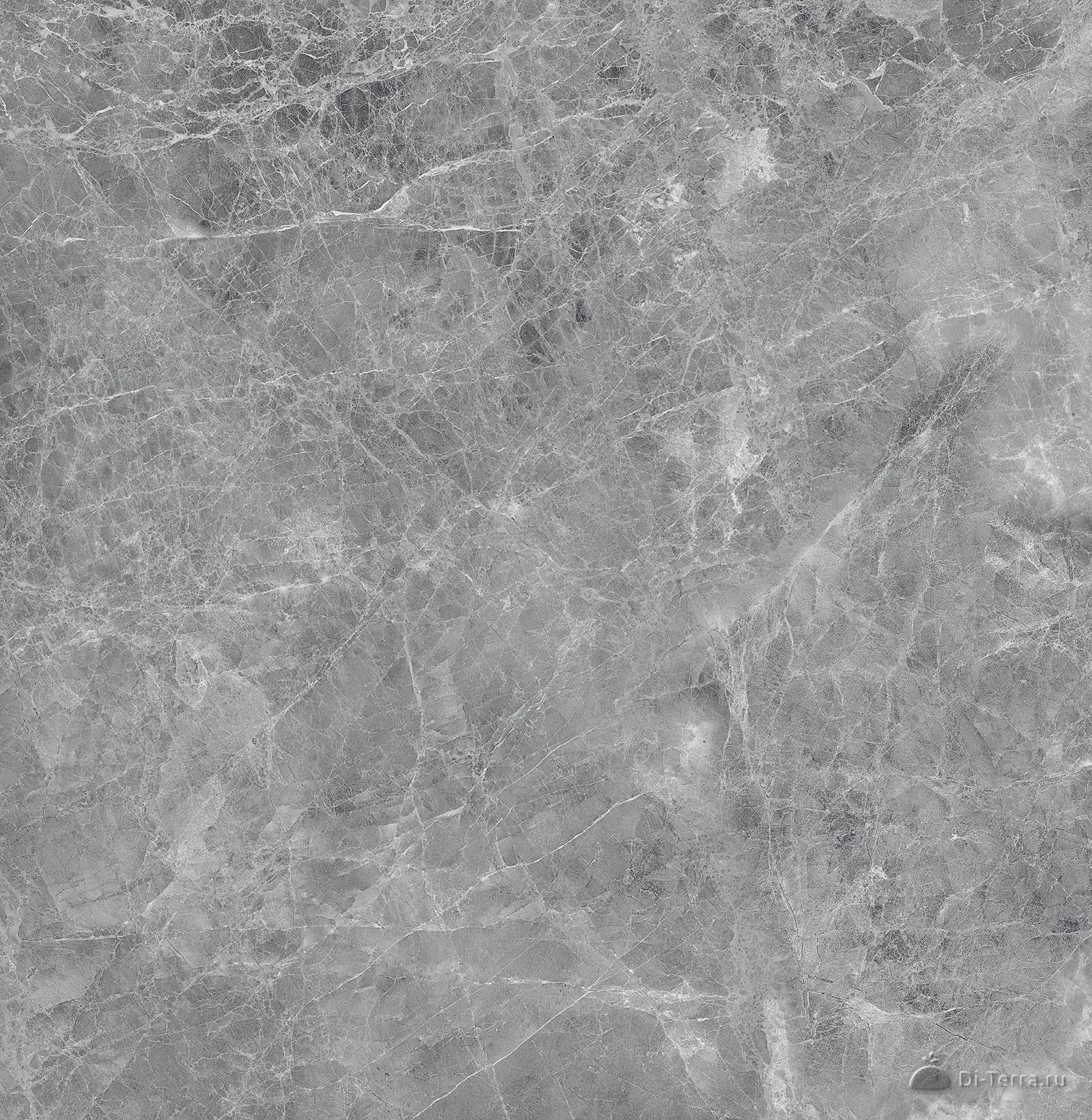 Madona Grey 600×1200