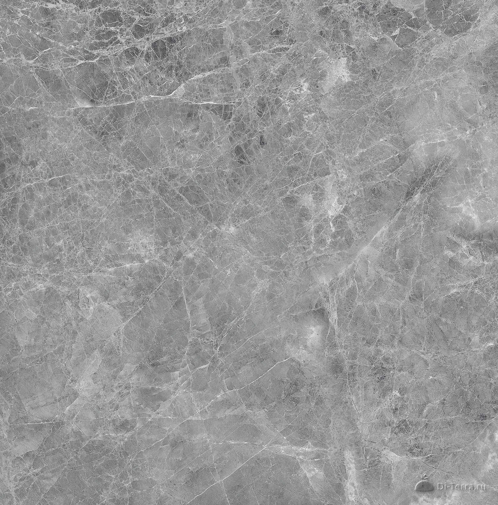 Madona Grey 600×1200