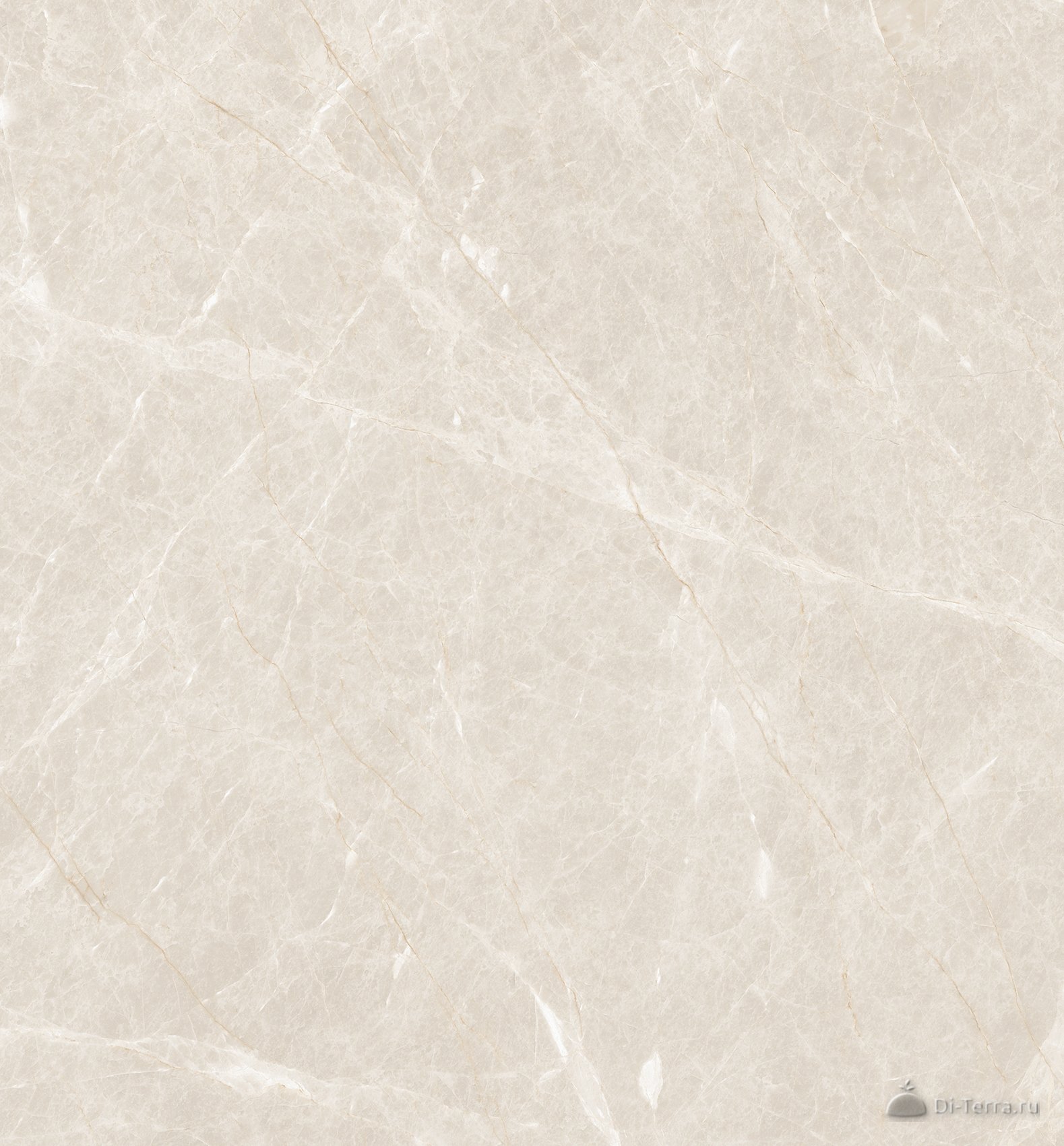 Liceo Pearl 600×1200