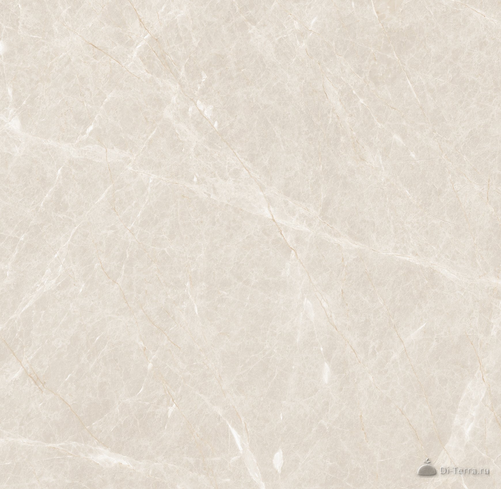 Liceo Pearl 600×1200