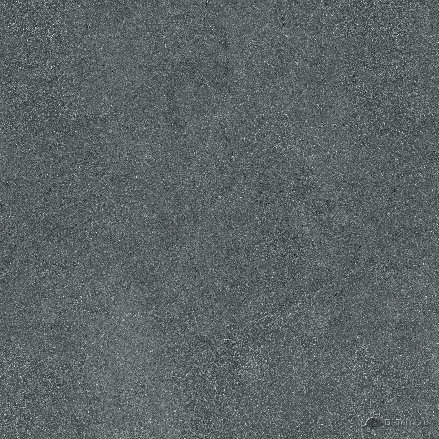 Cement Anthracite