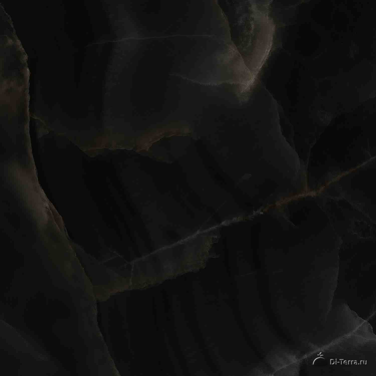 New Onyx Noir