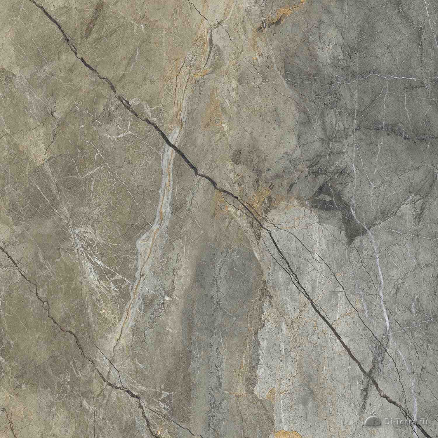 New Moriox Grey