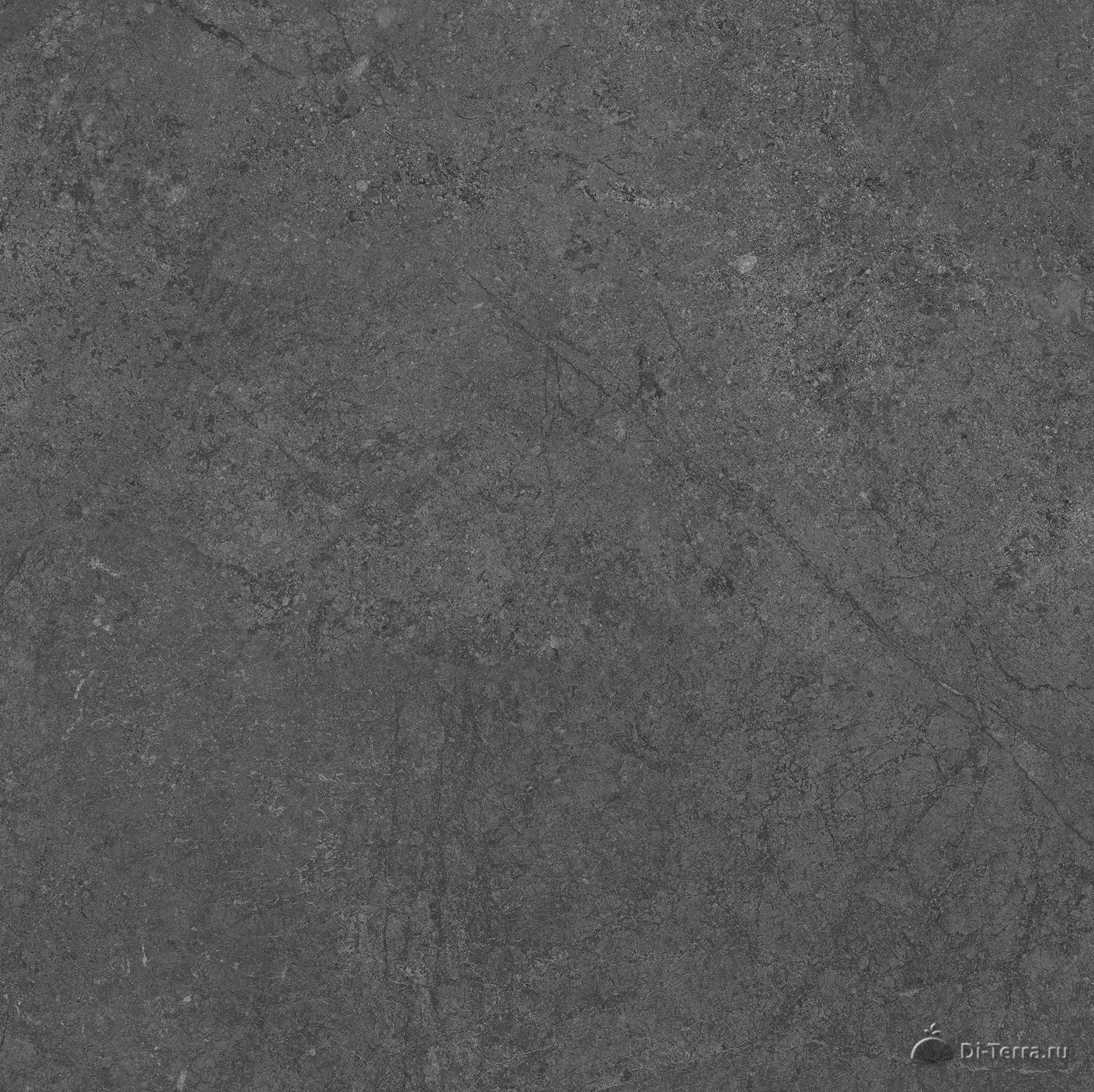 Desert Grey