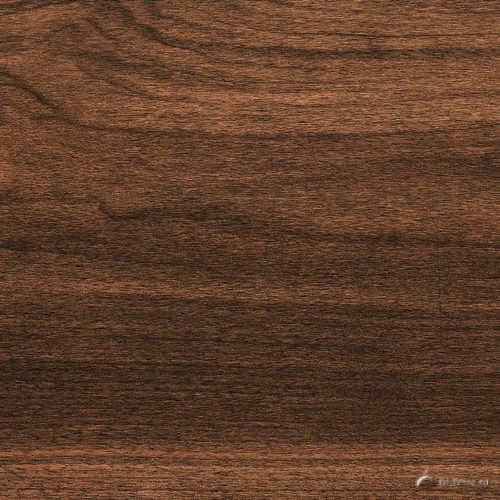 Walnut Tree