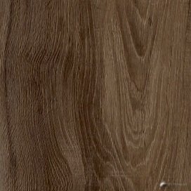 Cypress Nutty