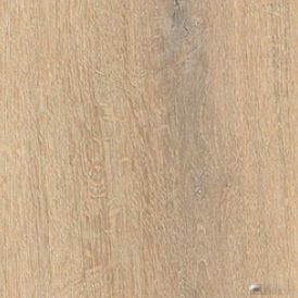 Alder Creamy