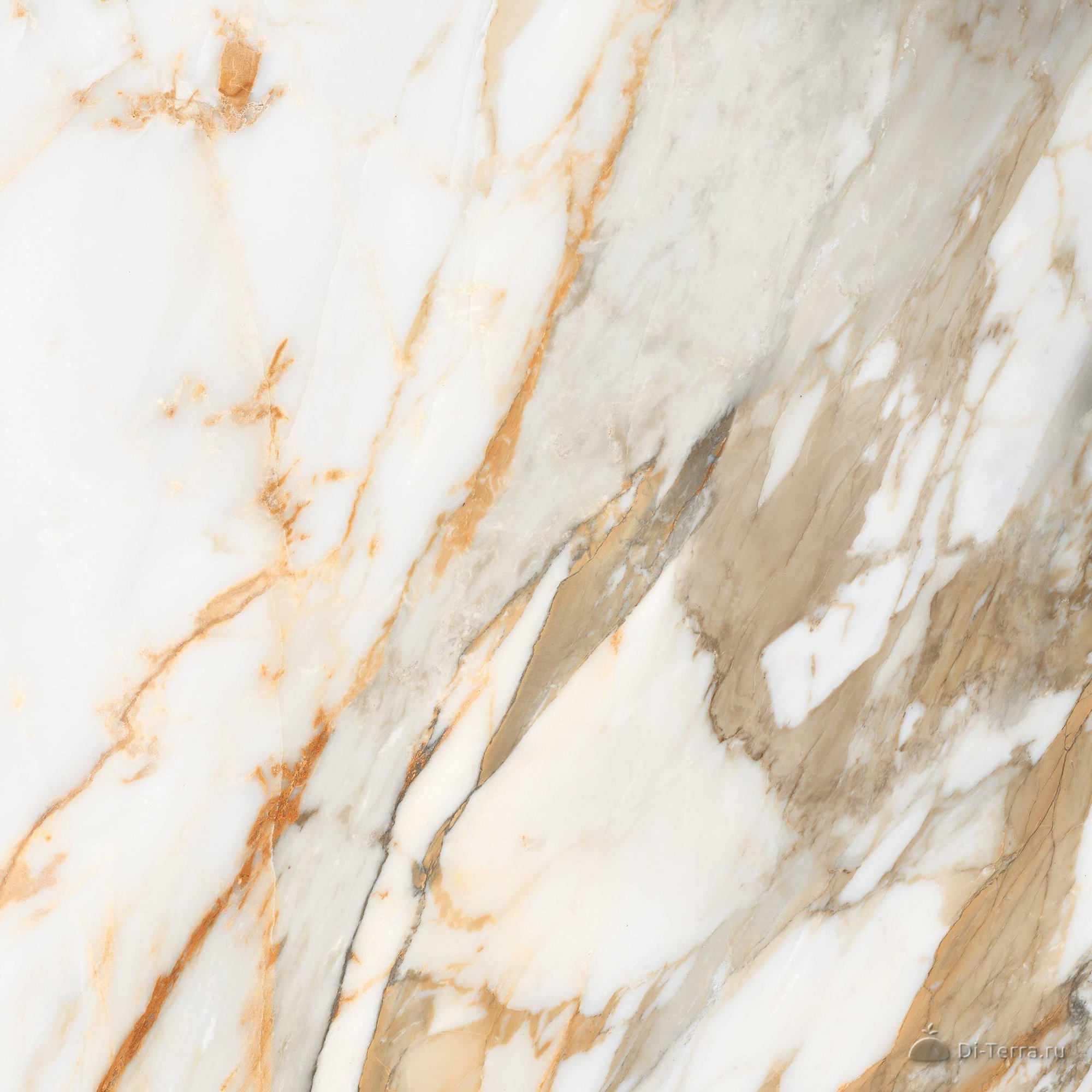 Calcatta Gold Borghini 60×60 Глянцевый