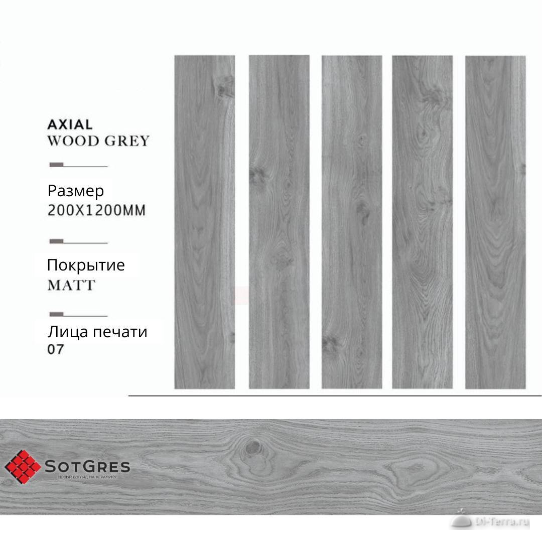 Espana Cemento Decore R2 120×40 Carving