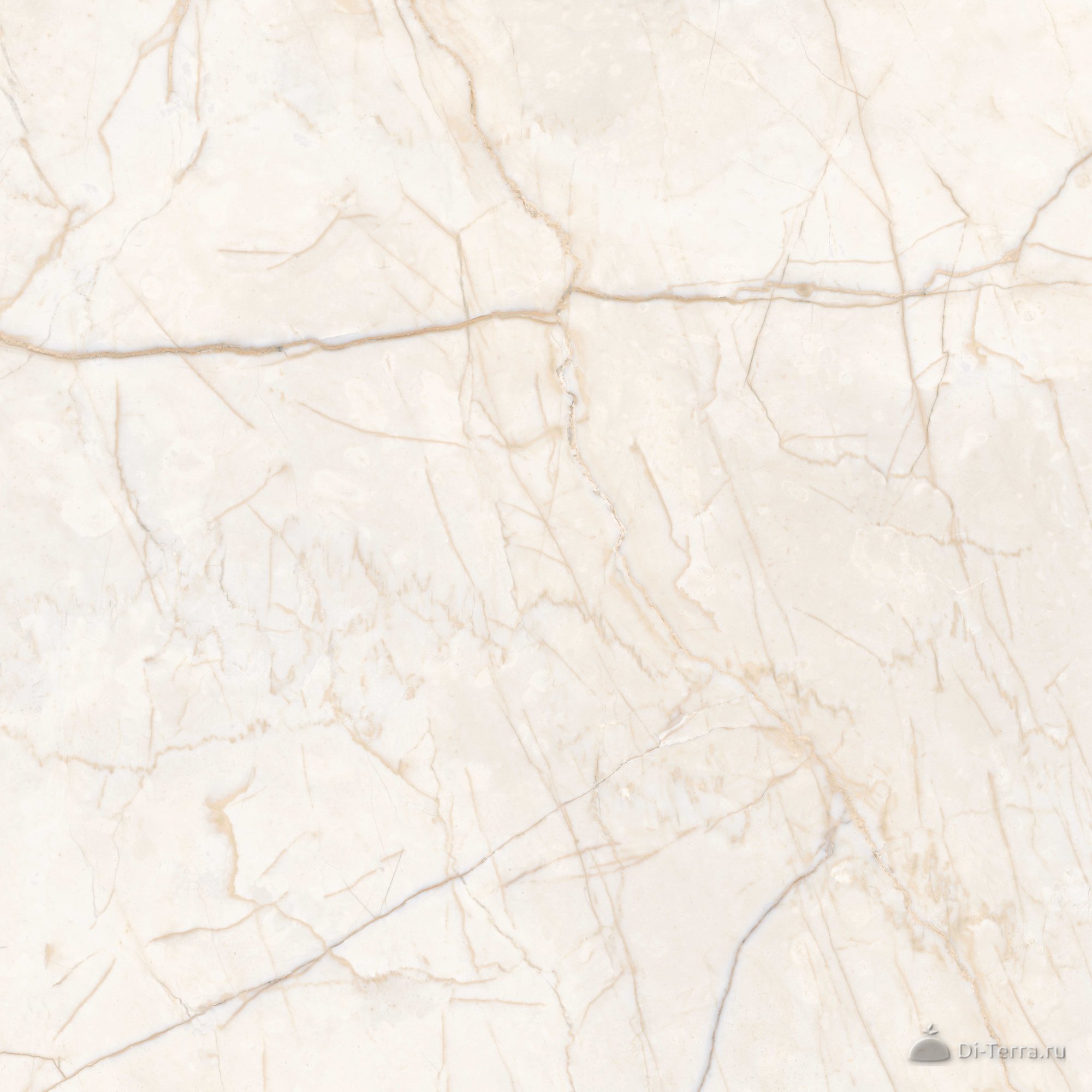 G231-iset Elegant