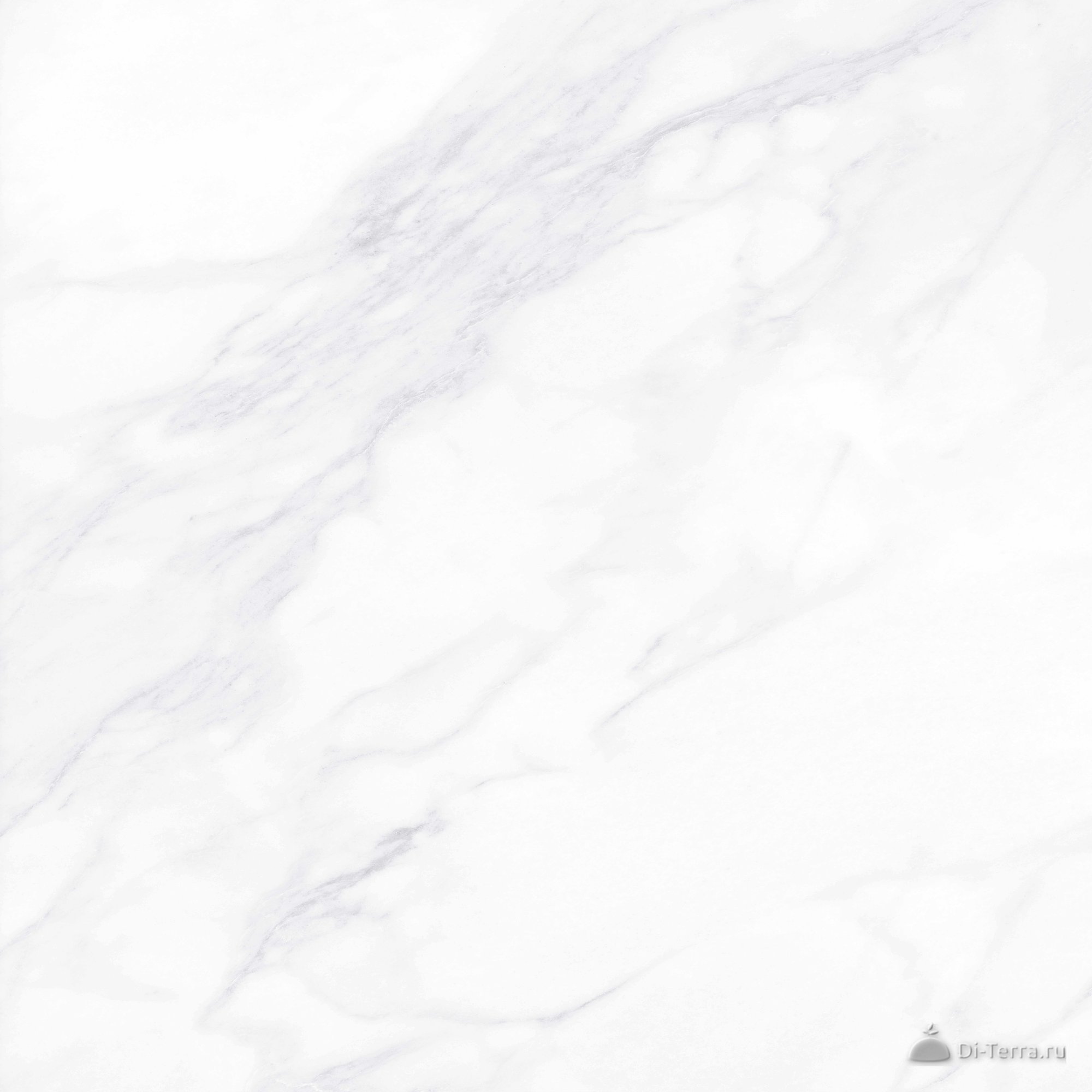 G281-payer Elegant