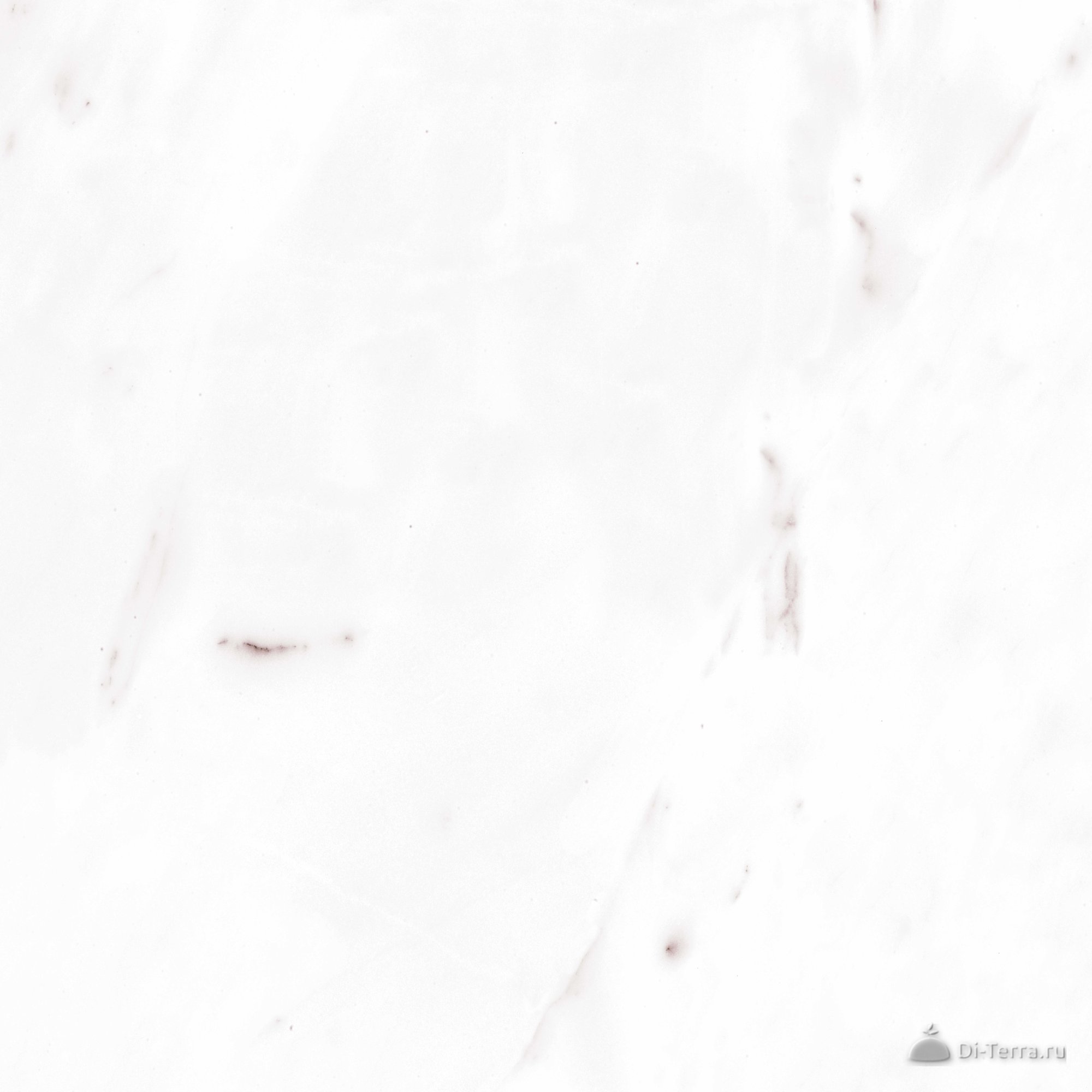 G282-payer Beige