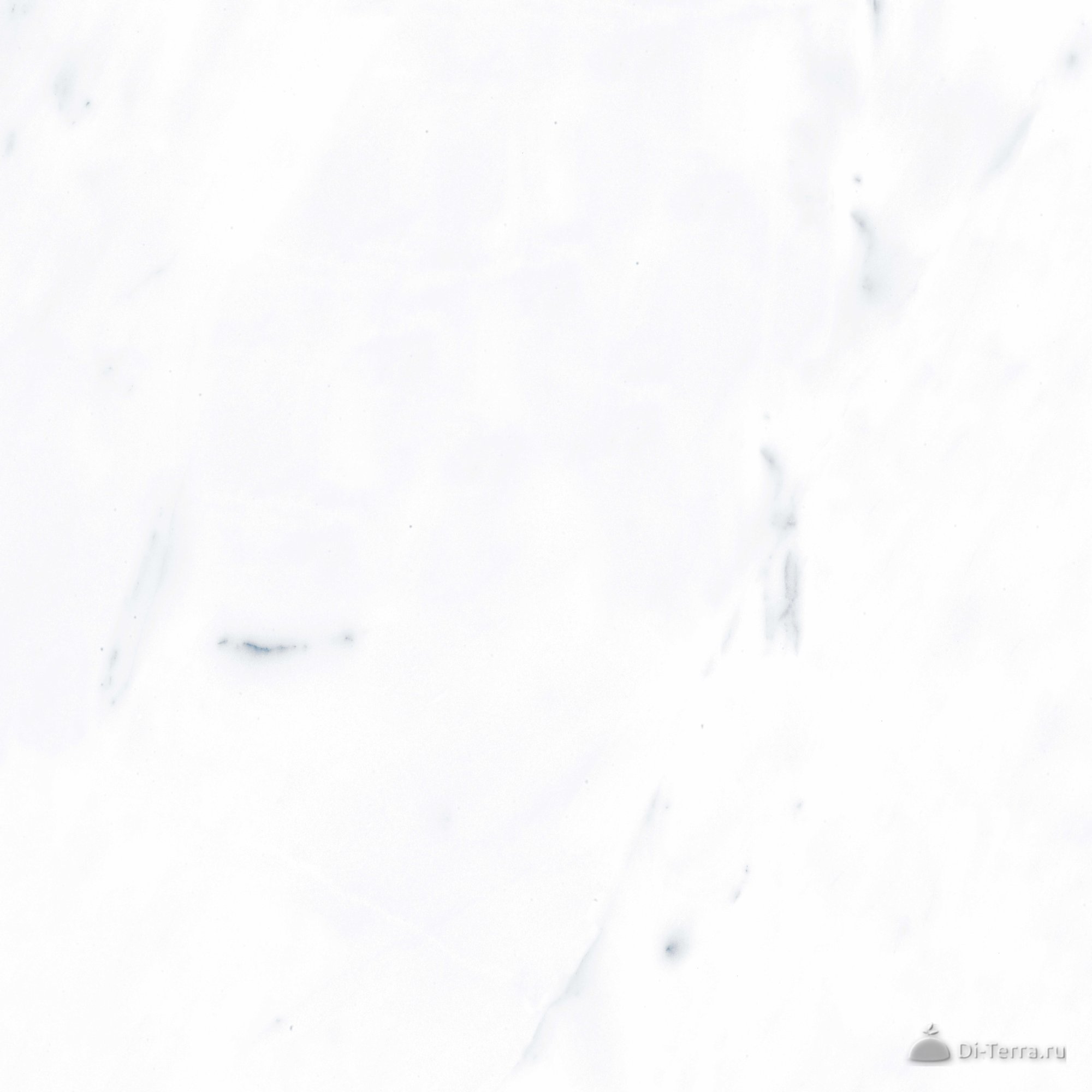 G283-payer Grey