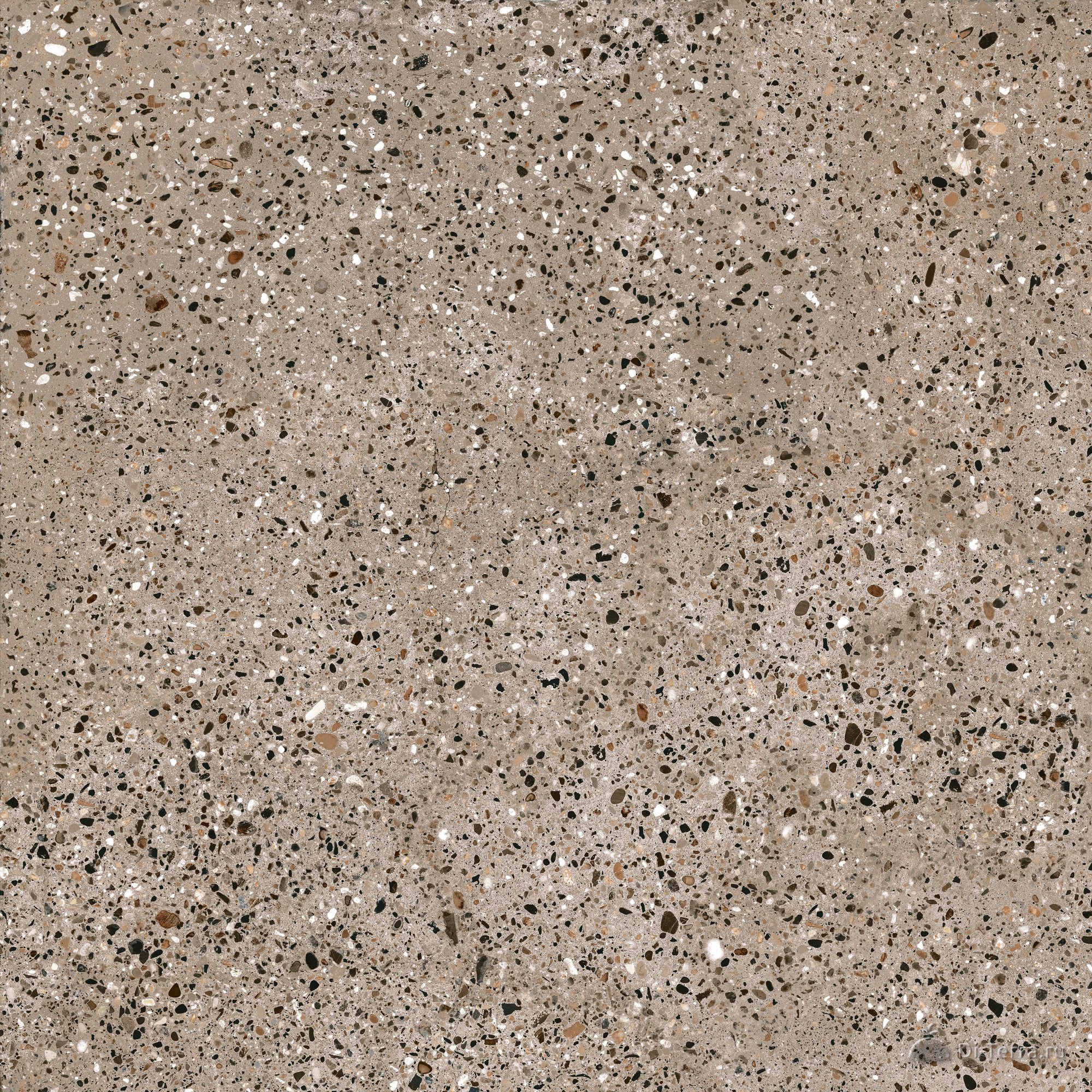 G292-shikhan Beige