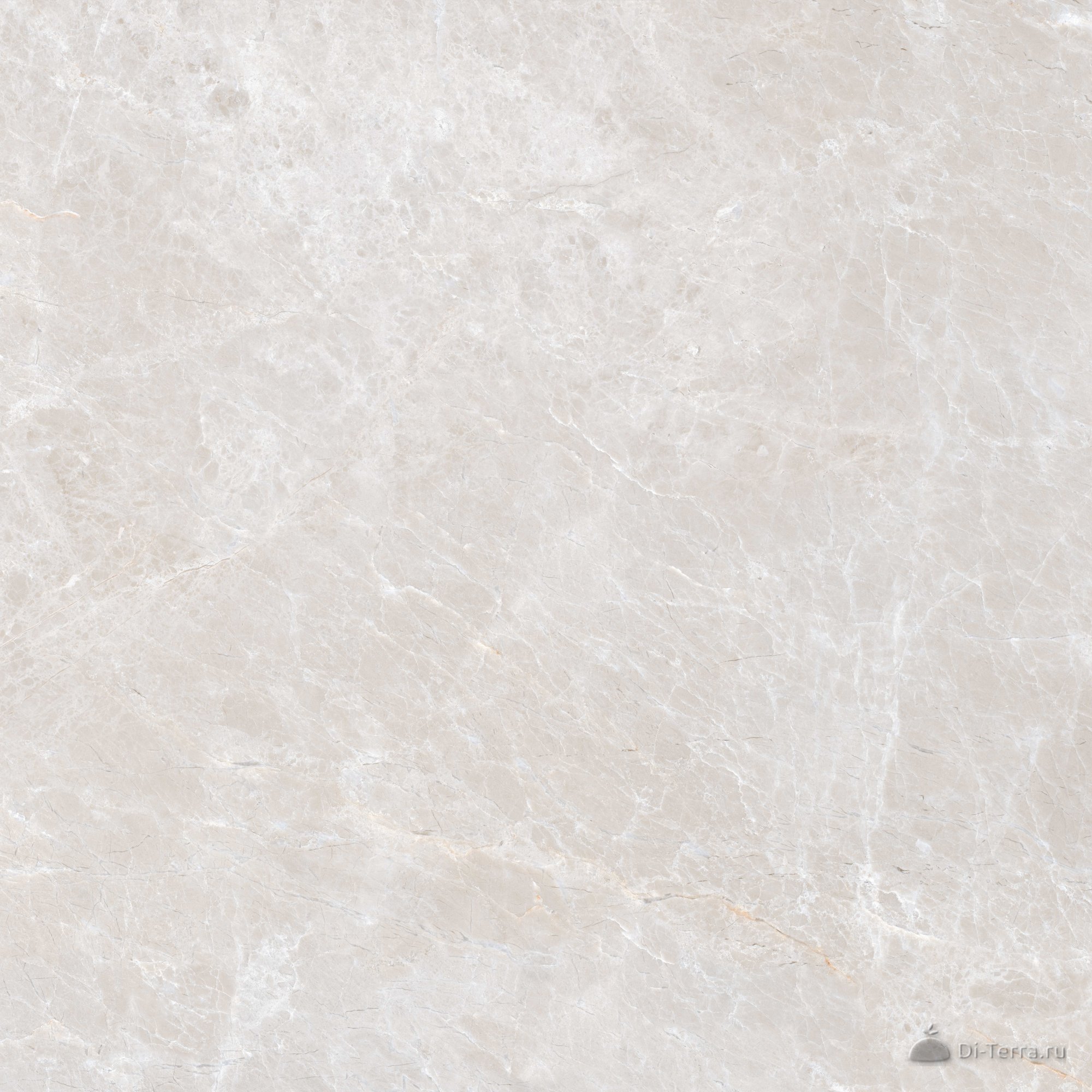 G312-sinara Beige