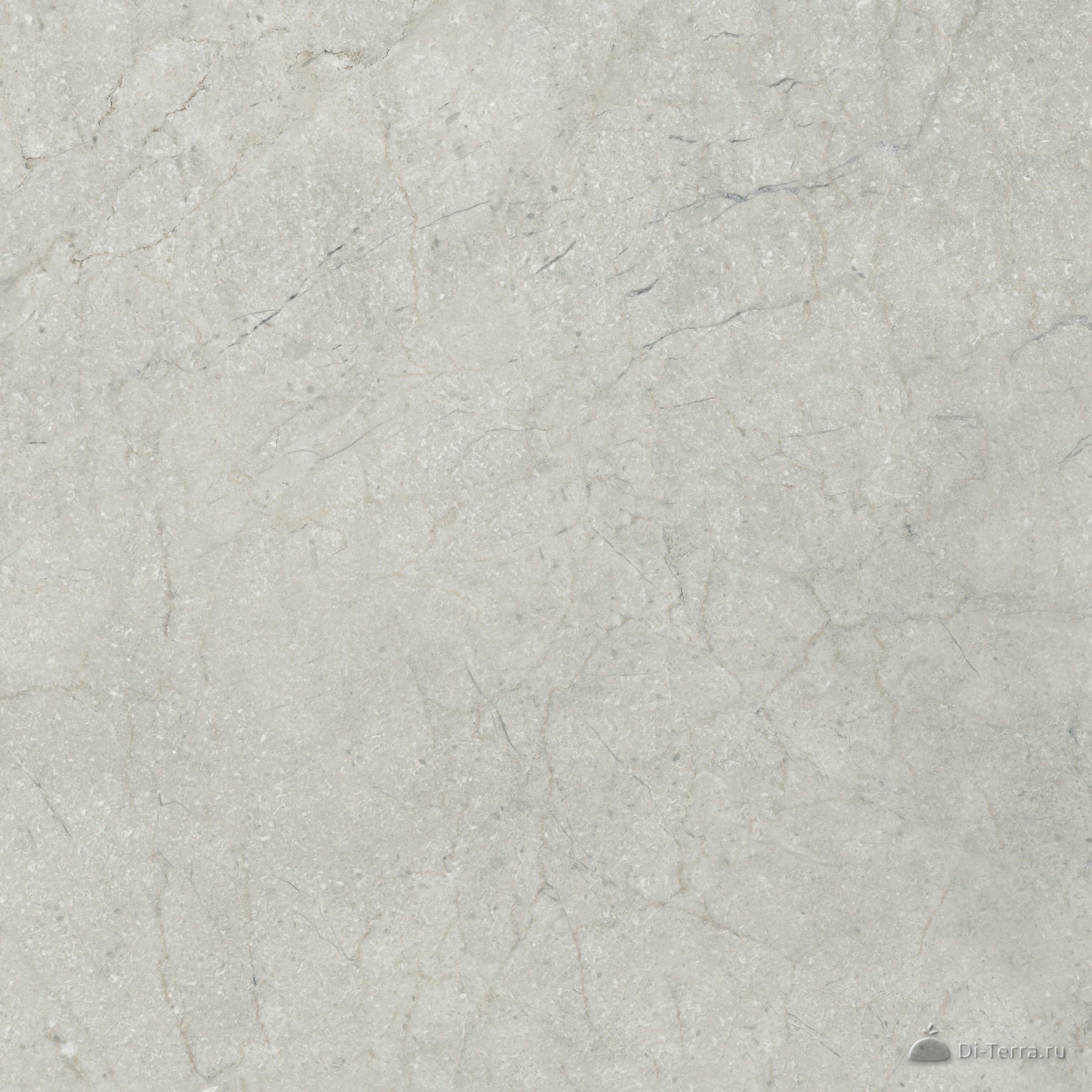 G332-sungul Beige
