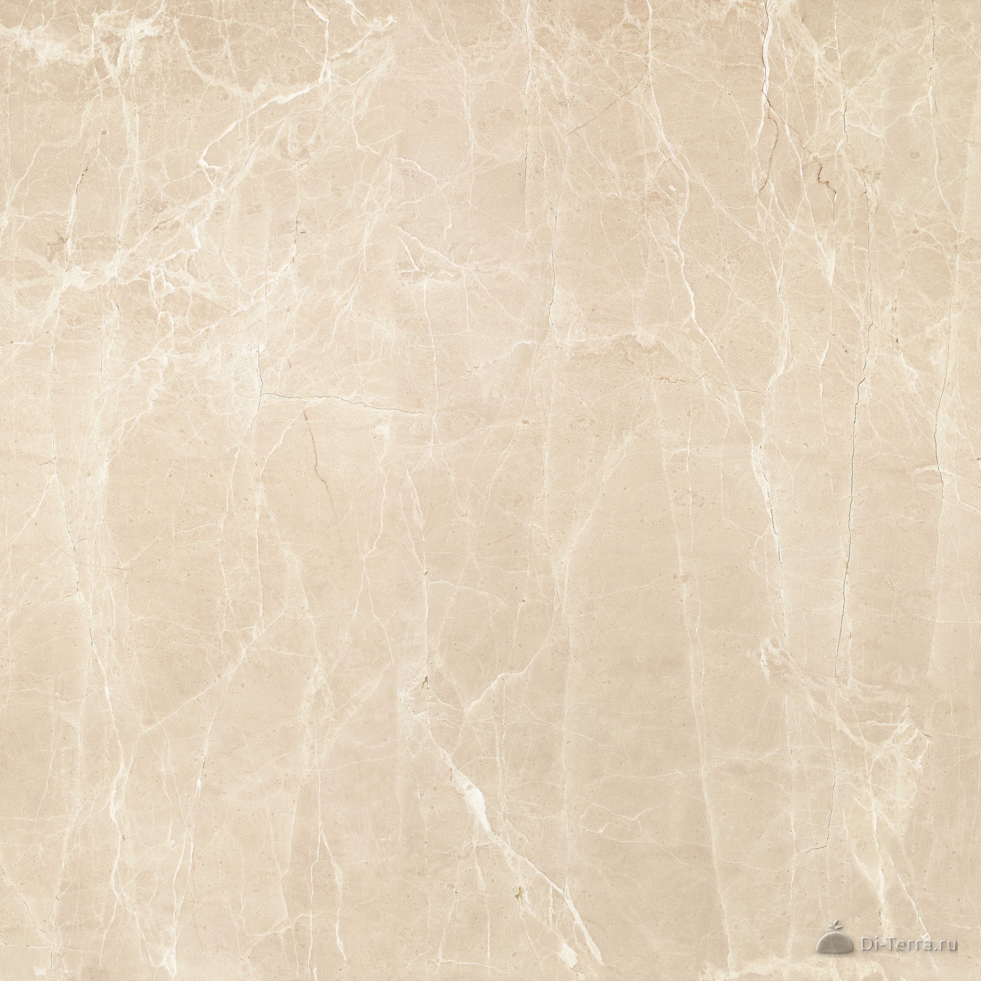 G362-uvildy Beige