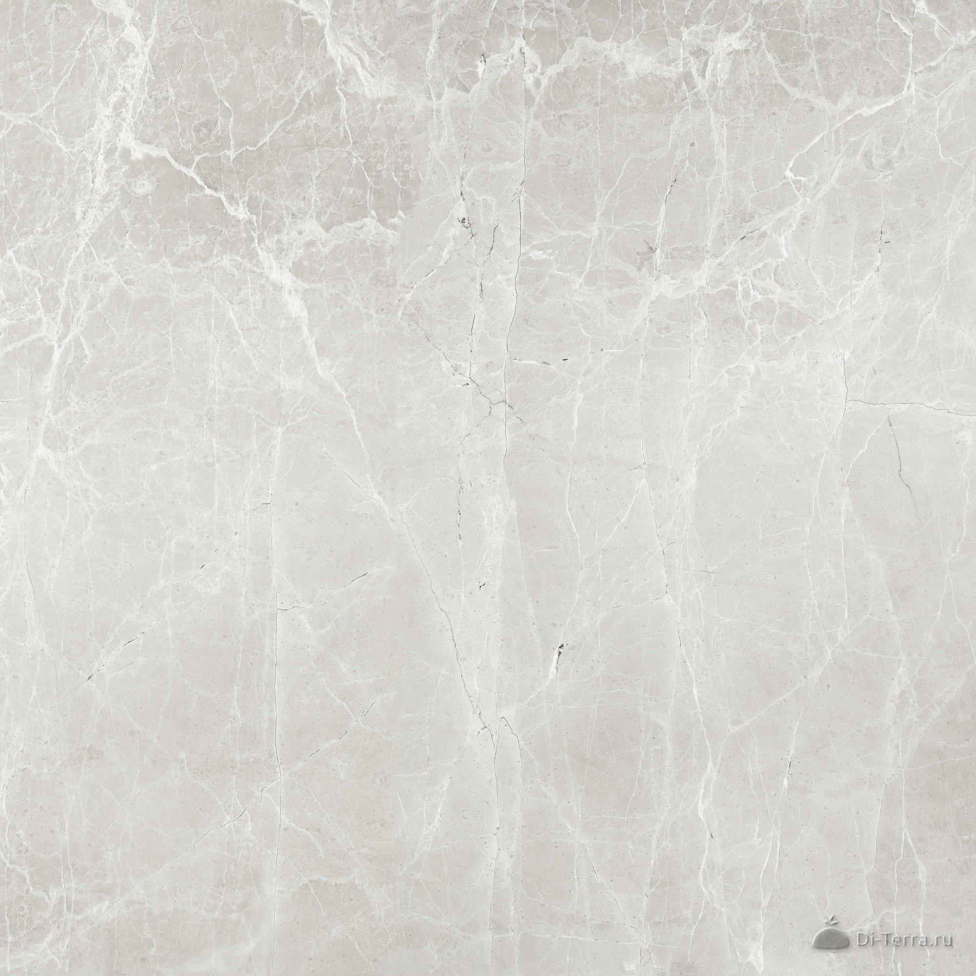 G363-uvildy Grey