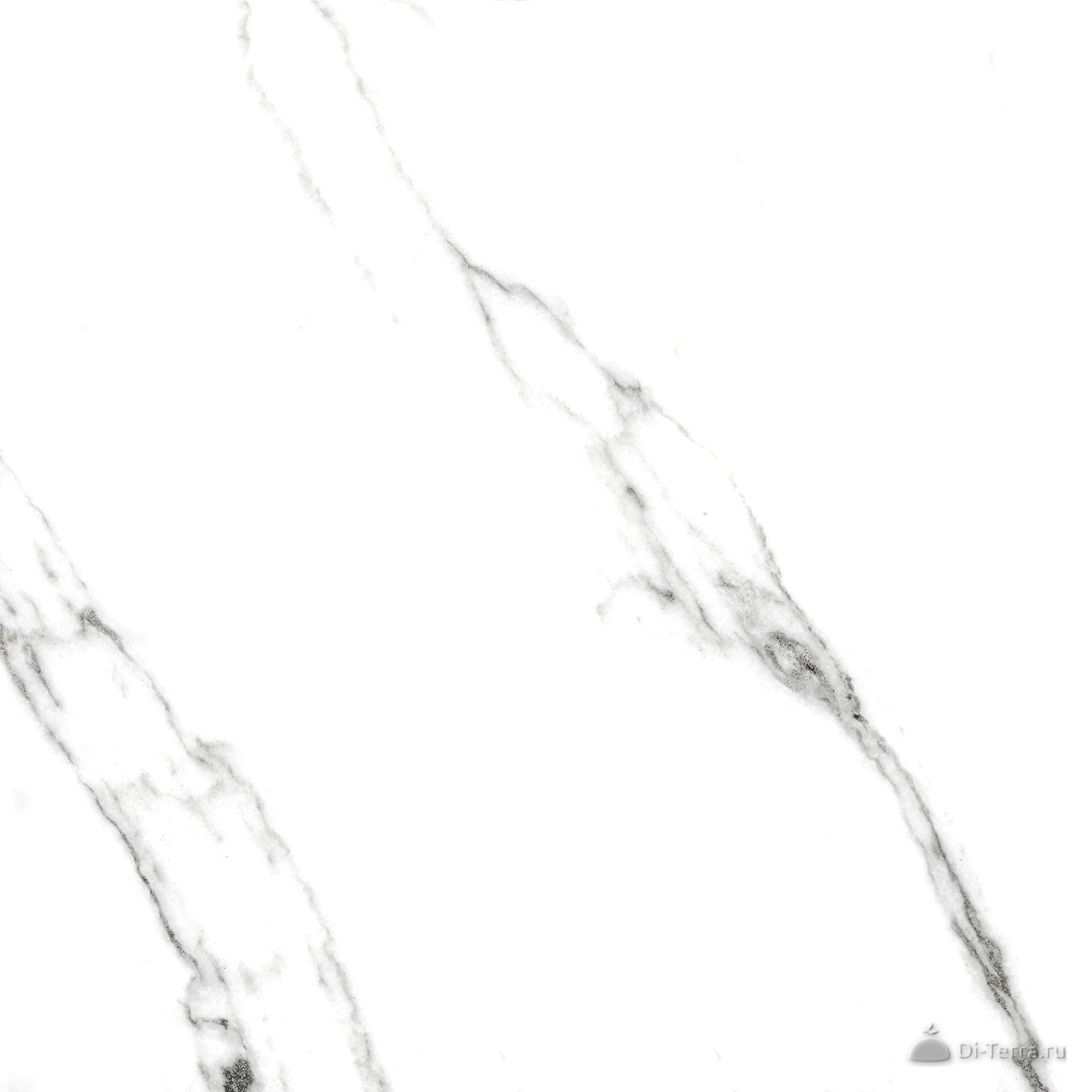 G390-neiva White