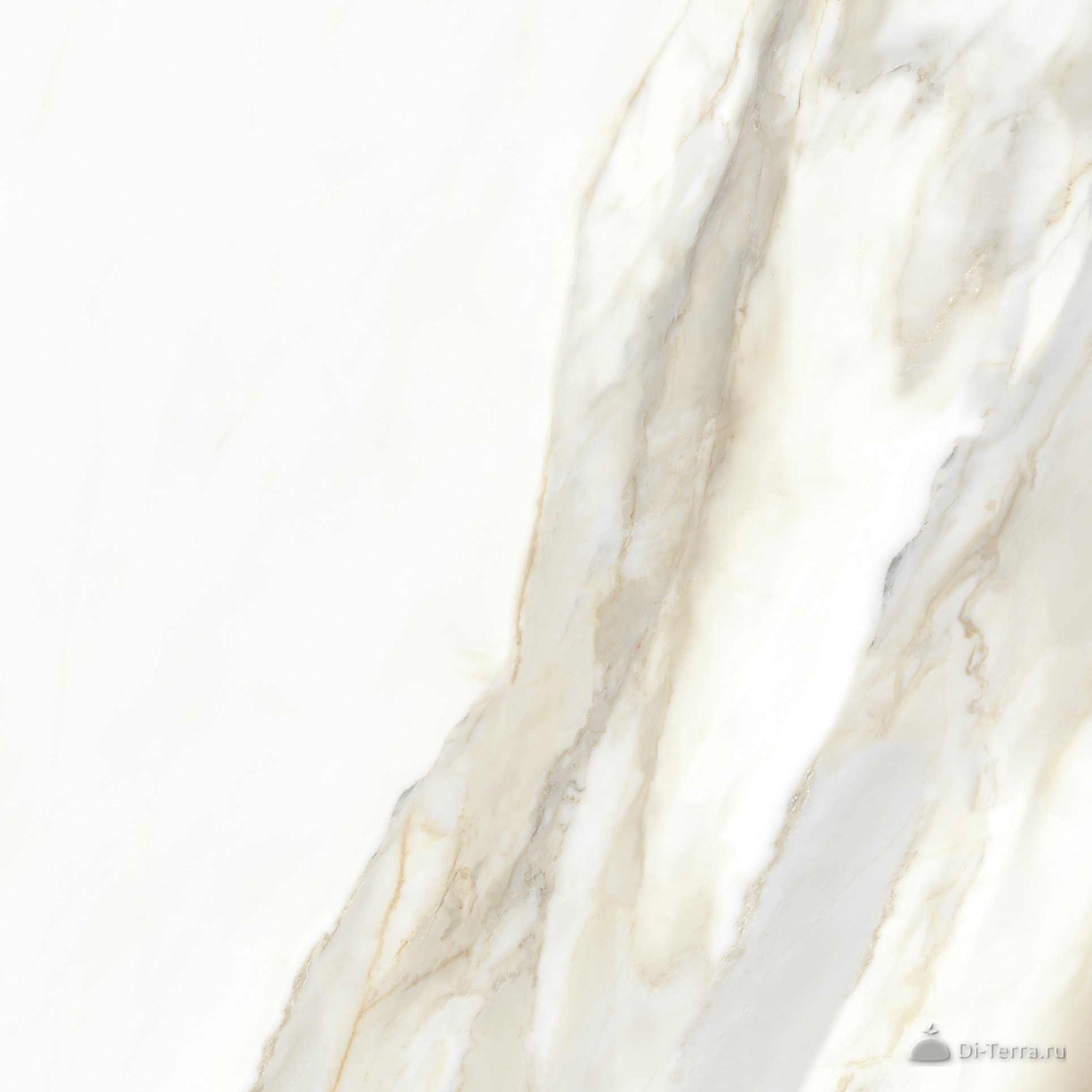 Neiva Beige