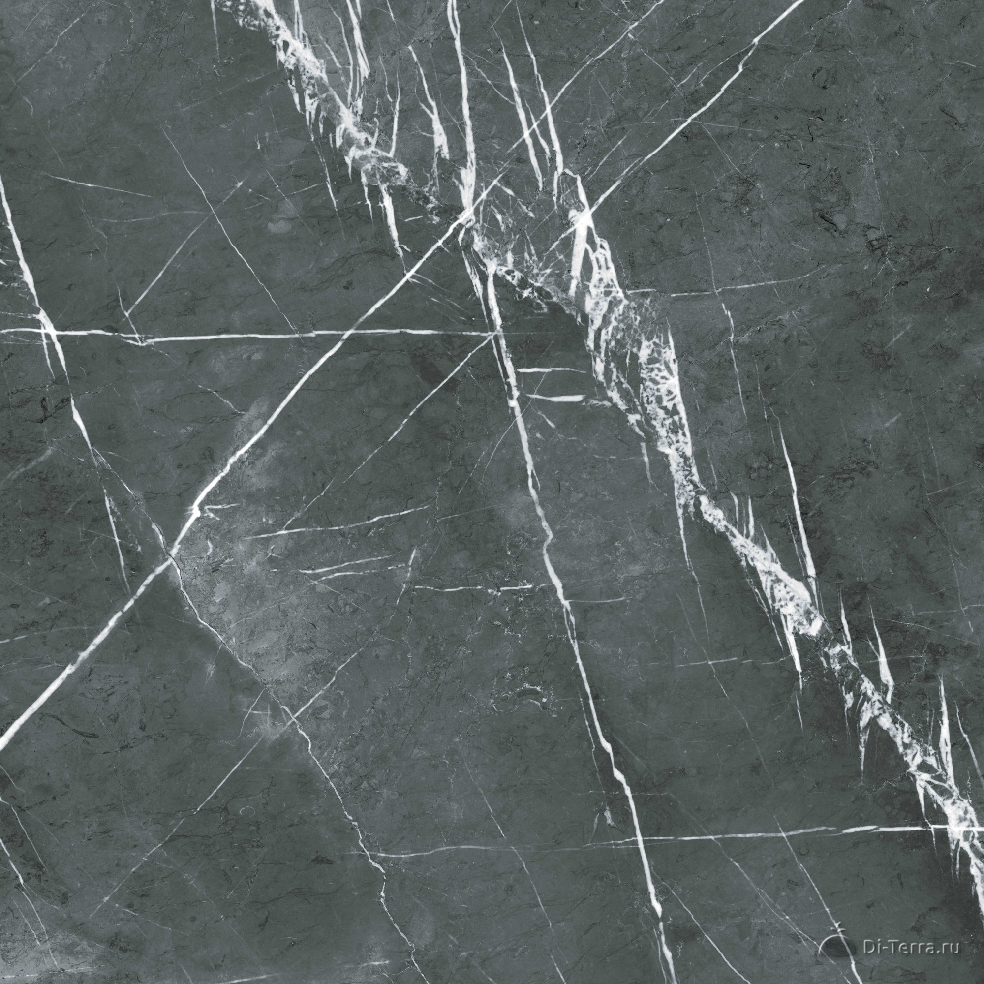 Neiva Grey