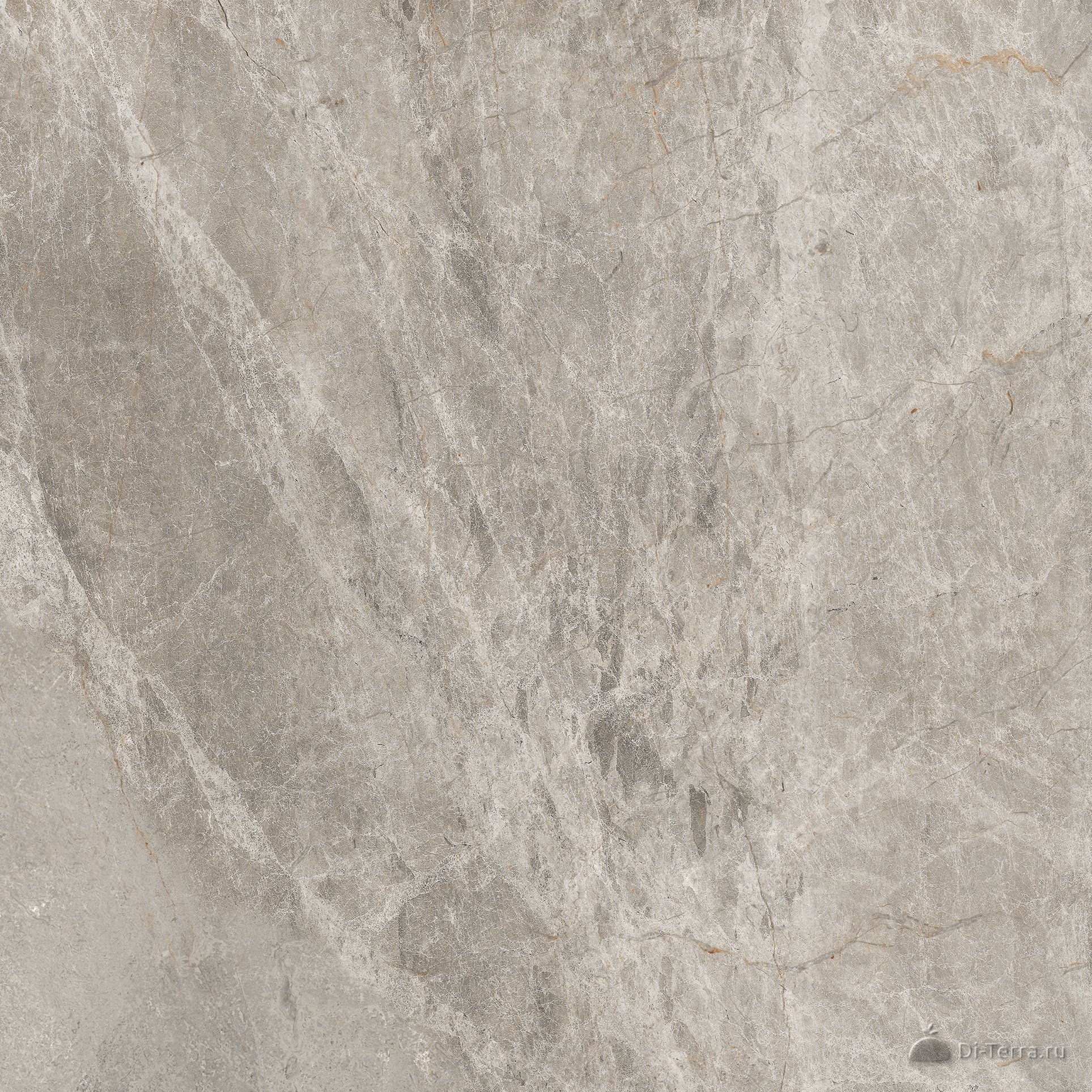 Neiva Bronze