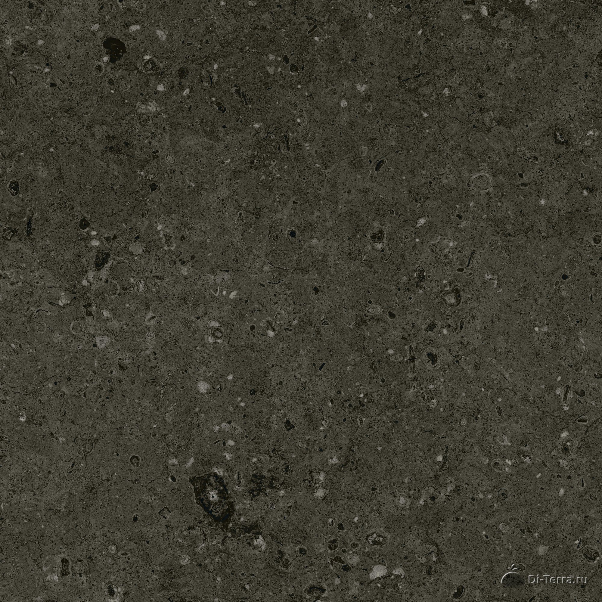 G215-arkaim Black
