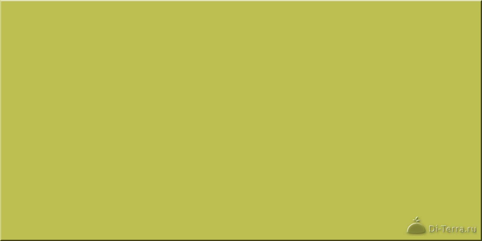 Pear 60×60