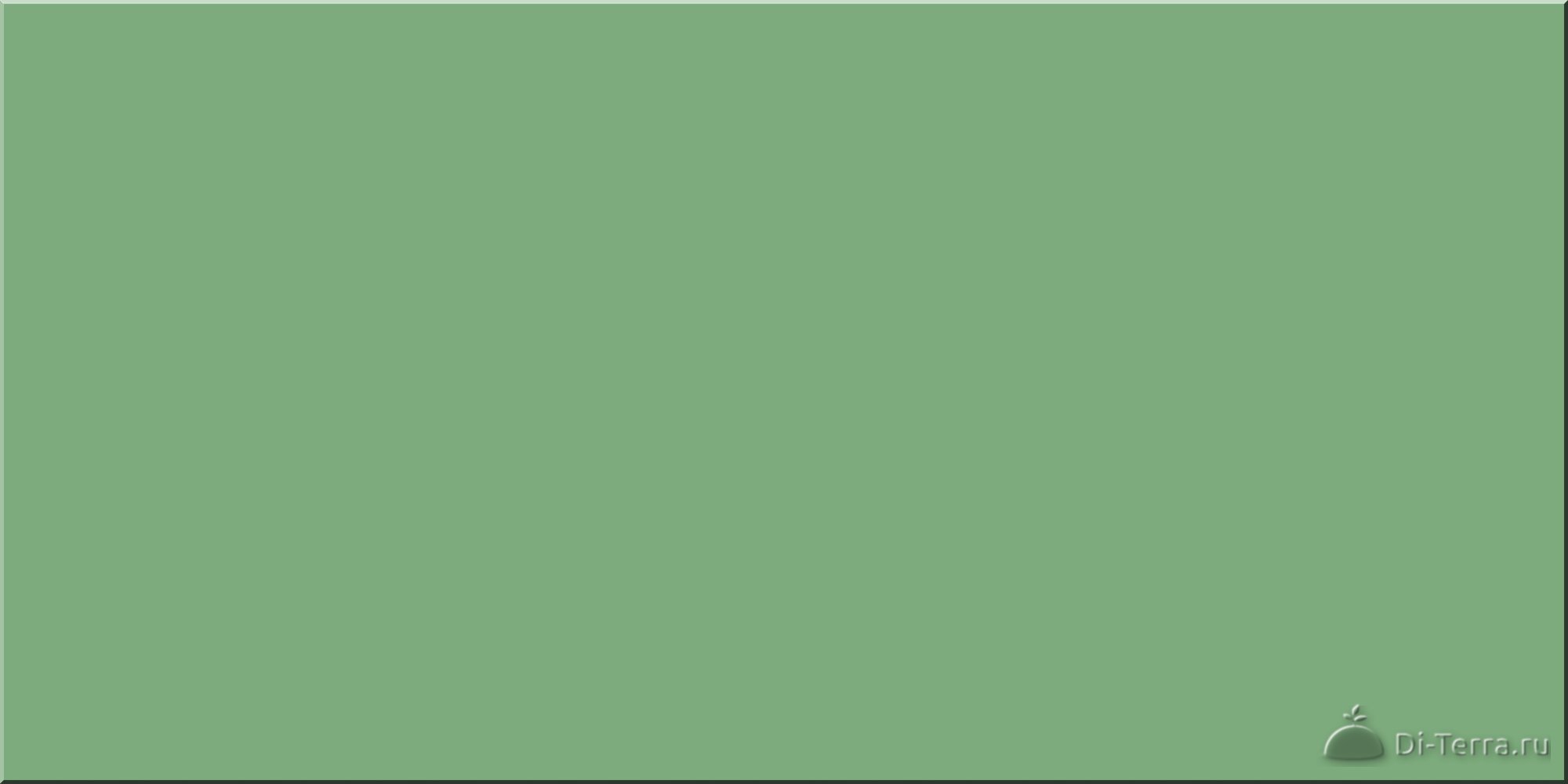 Mint 60×60