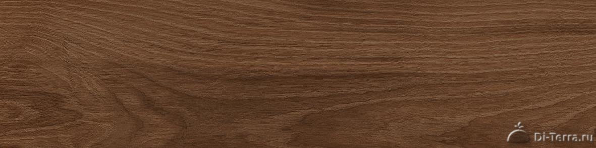 Polo Cherry Коричневый 19.7×79.7