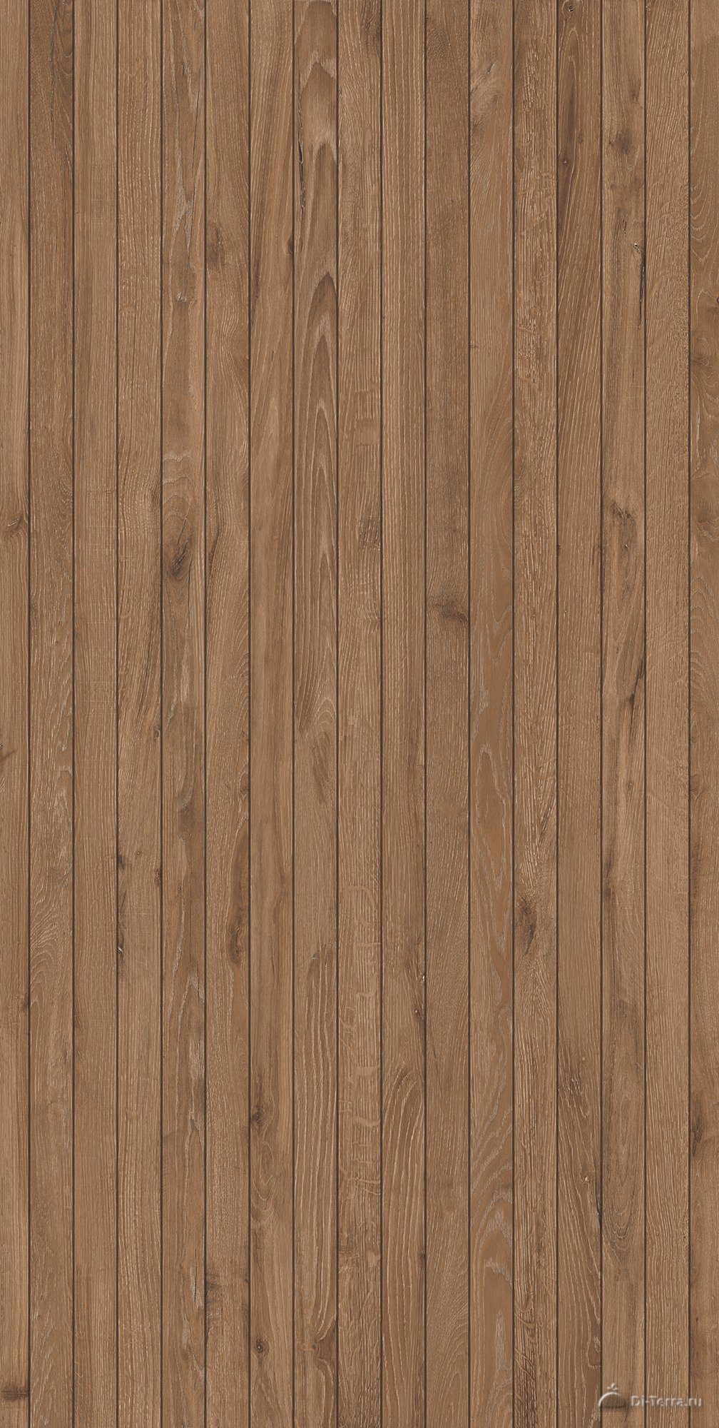 Kolan Beige 60×120