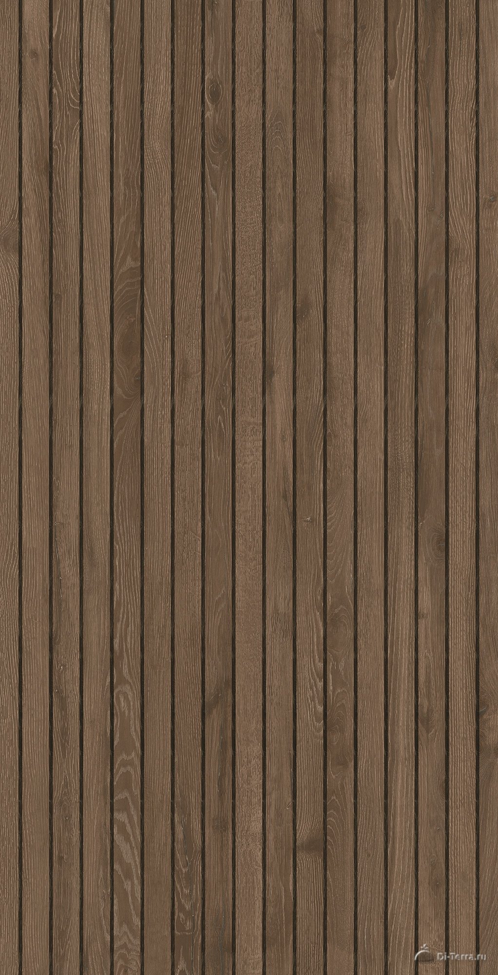 Kolan Dark Brown 60×120