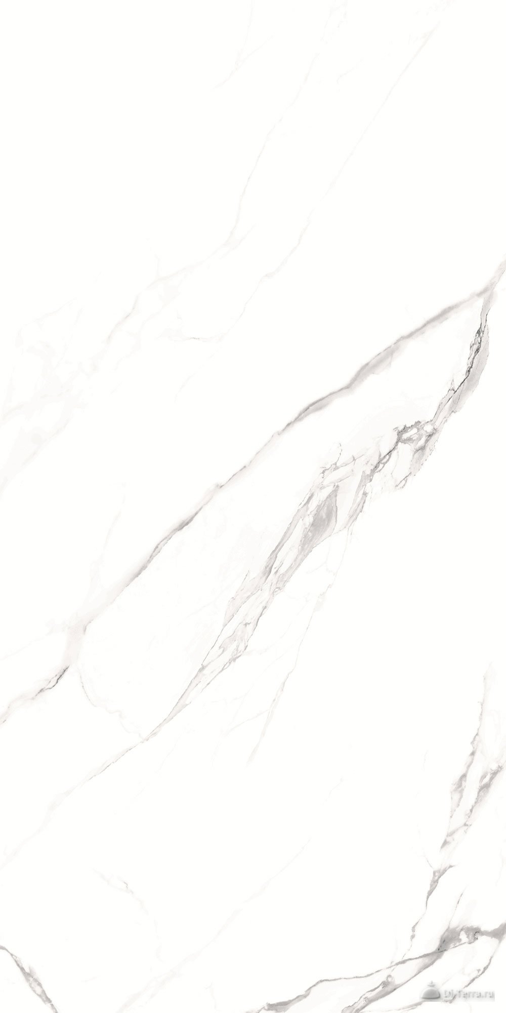 Alfanzo White 60×120