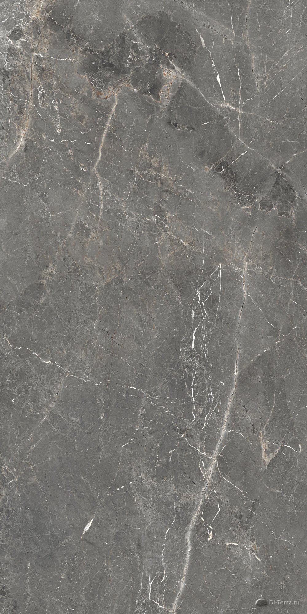 Tulip Dark Grey 60×120