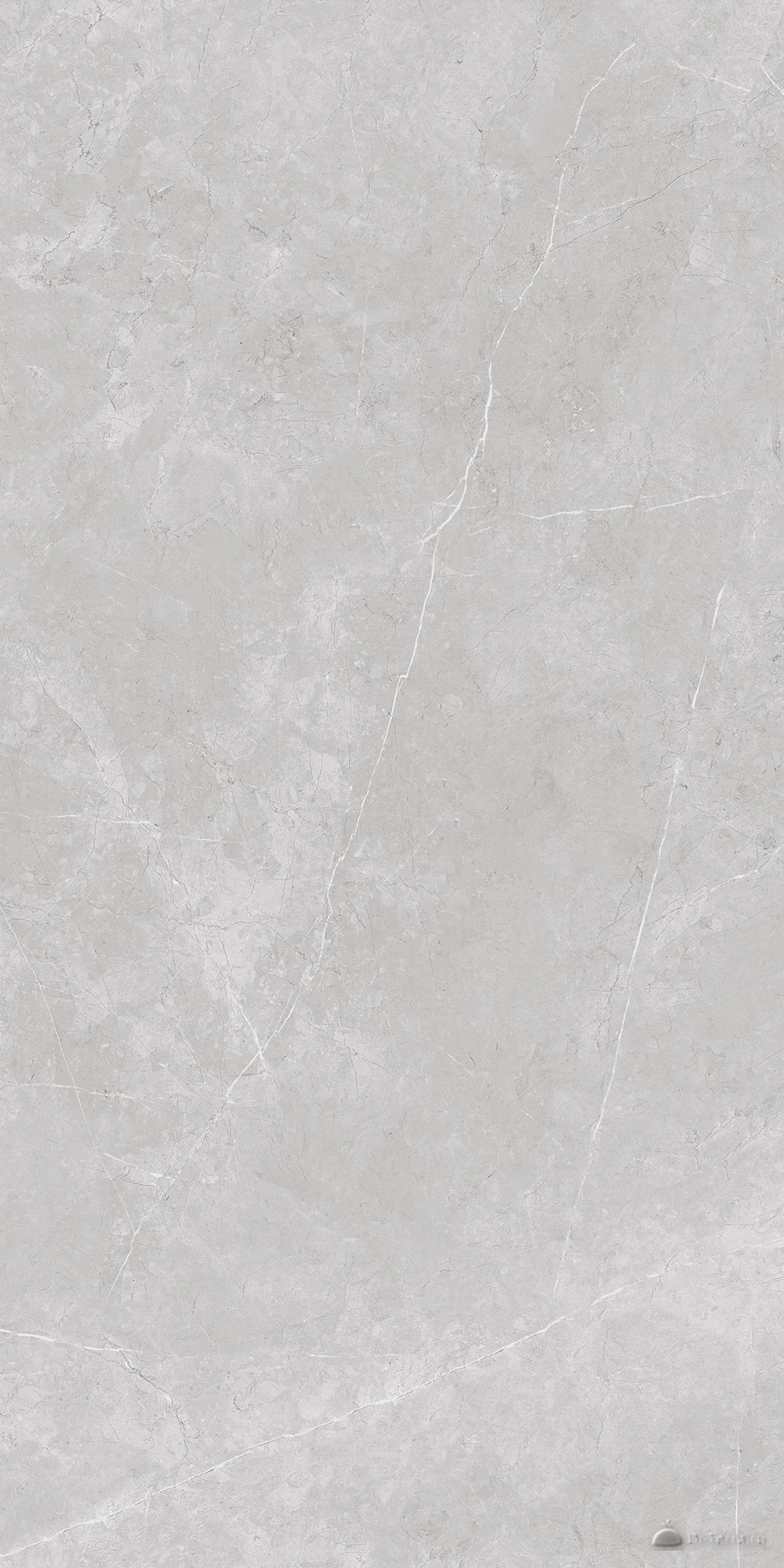 Nioba Grey 60×120