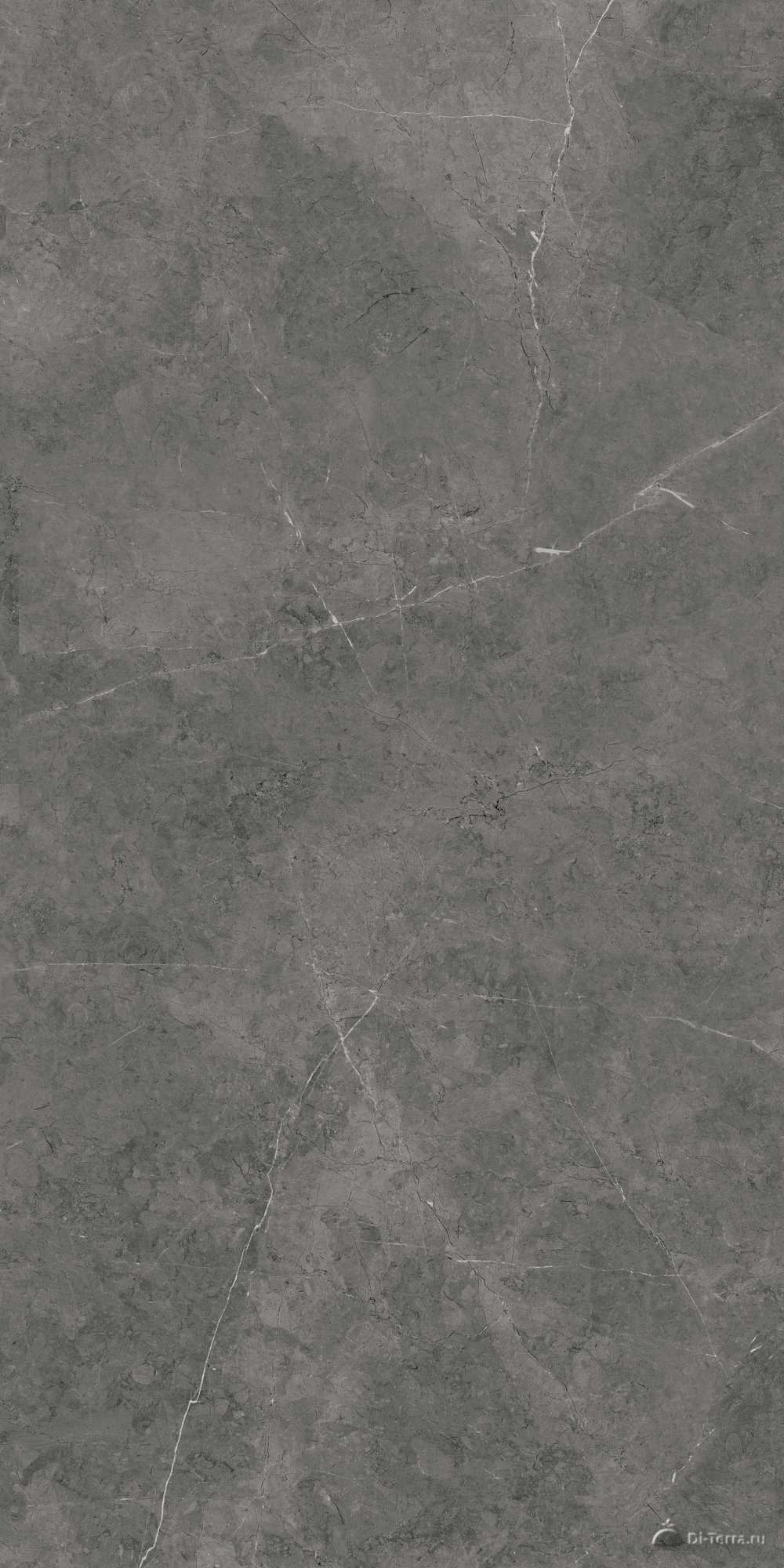 Nioba Dark Grey 60×120