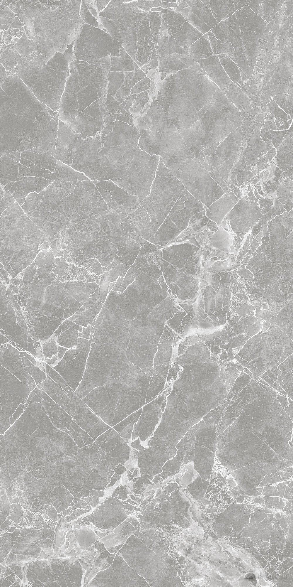 Solo Grey 60×120 Polished