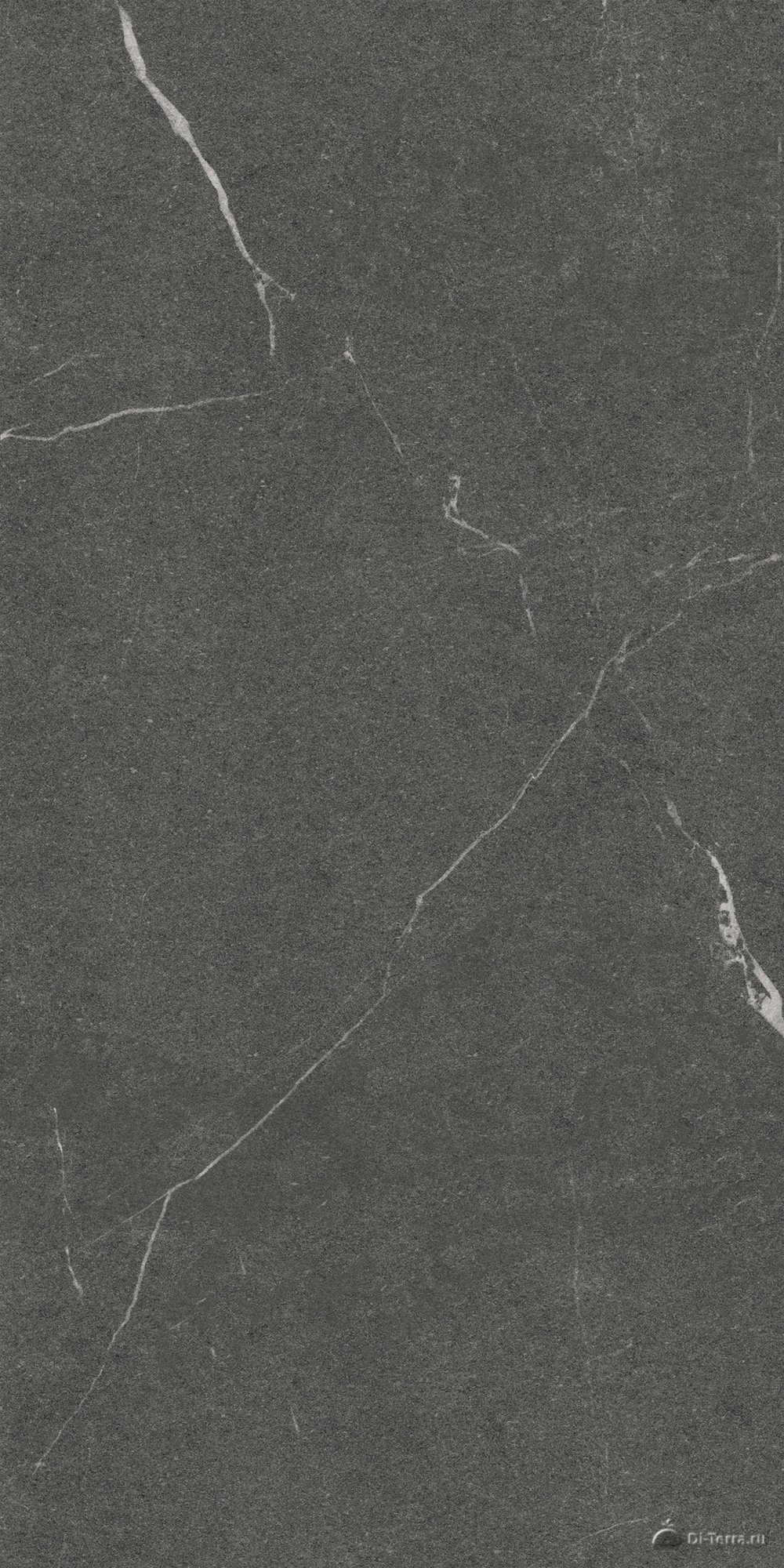 Lakeside Black 60×120