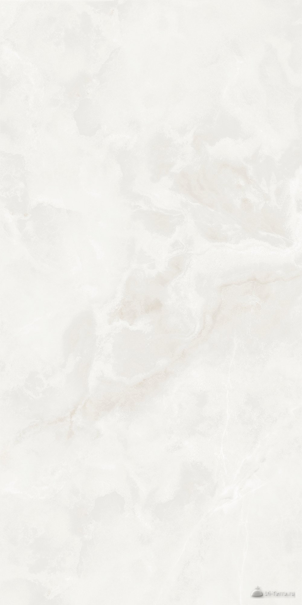 Biscotti Grey-Beige 60×120