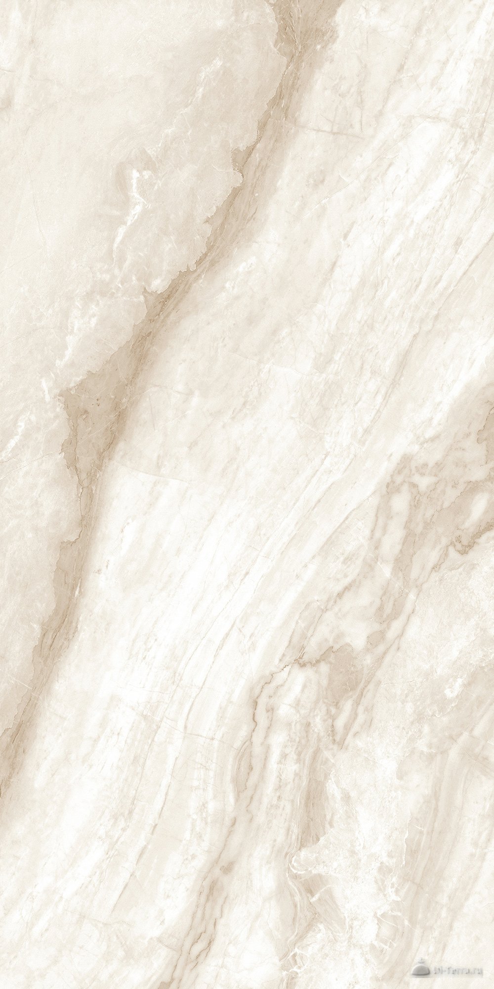 Charisma Beige 60×120
