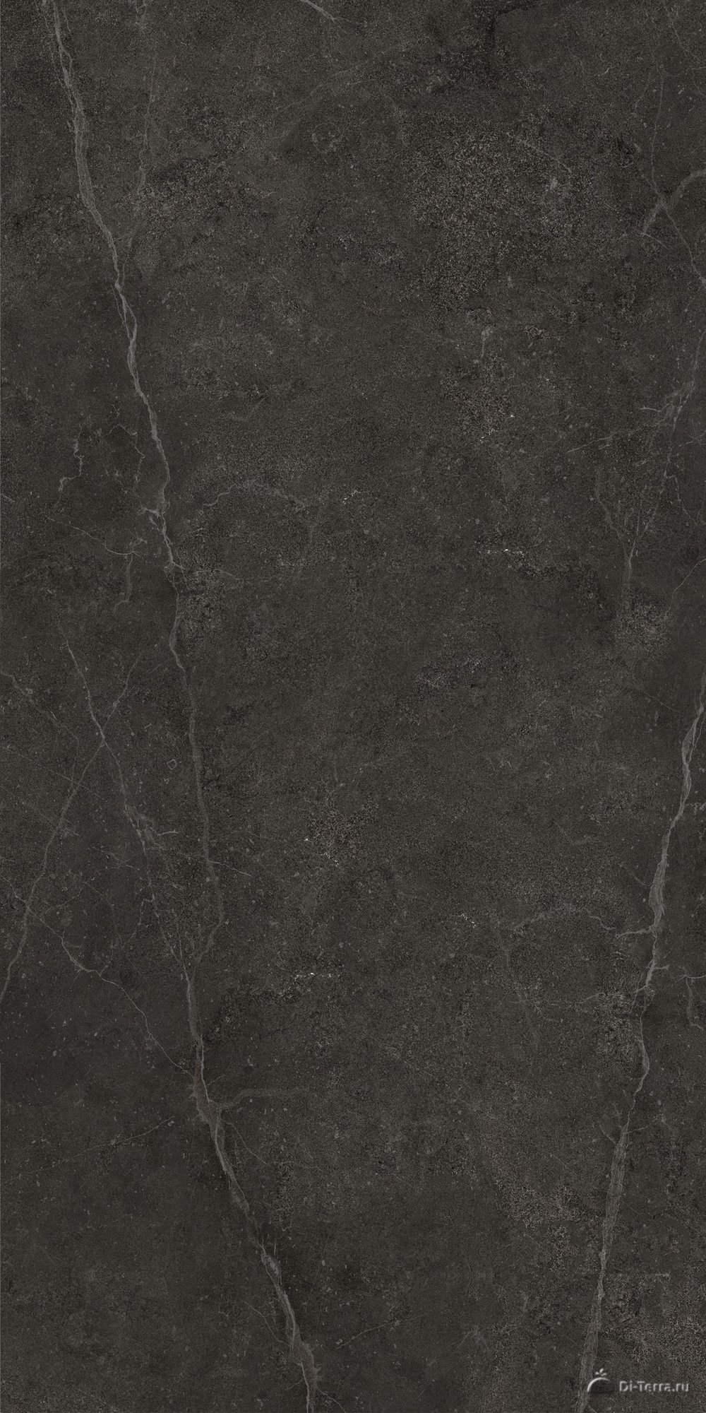 Ideal Black 60×120
