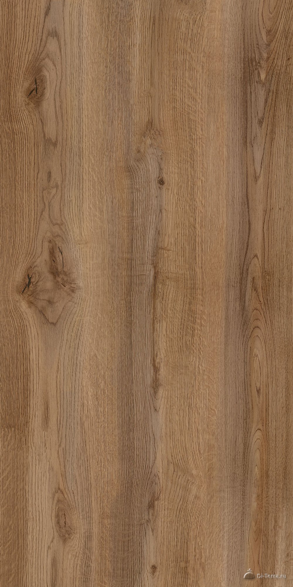 Hispanica Brown 60×120