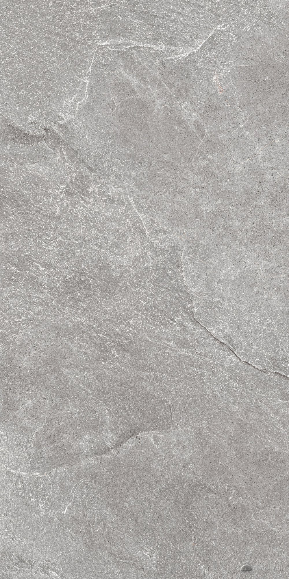 Skala Grey 60×120